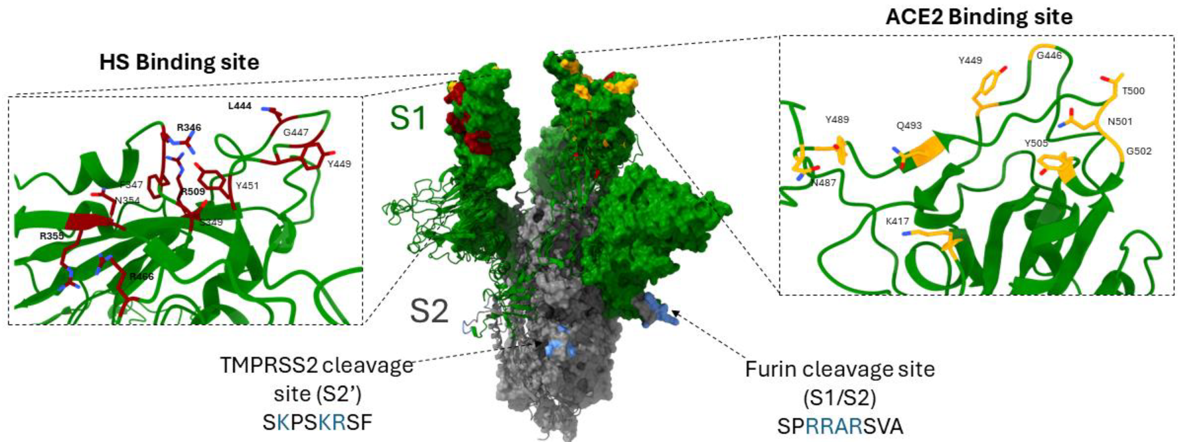 Biomolecules 14 00911 g004 Biomolecules 14 00911 g004