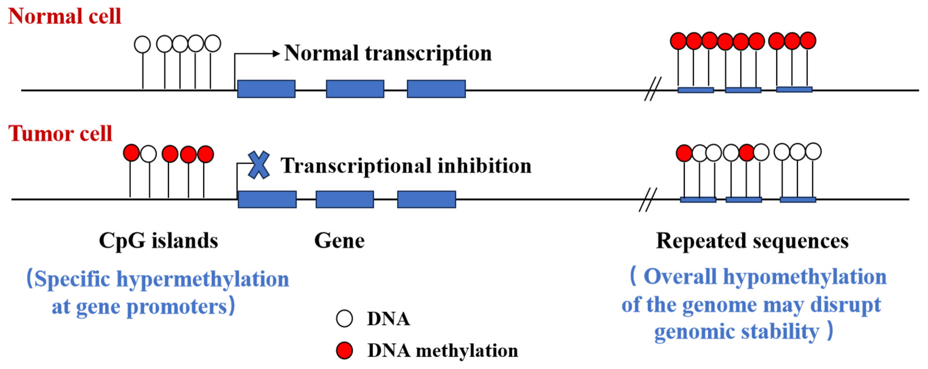 Biomolecules 14 00916 g002