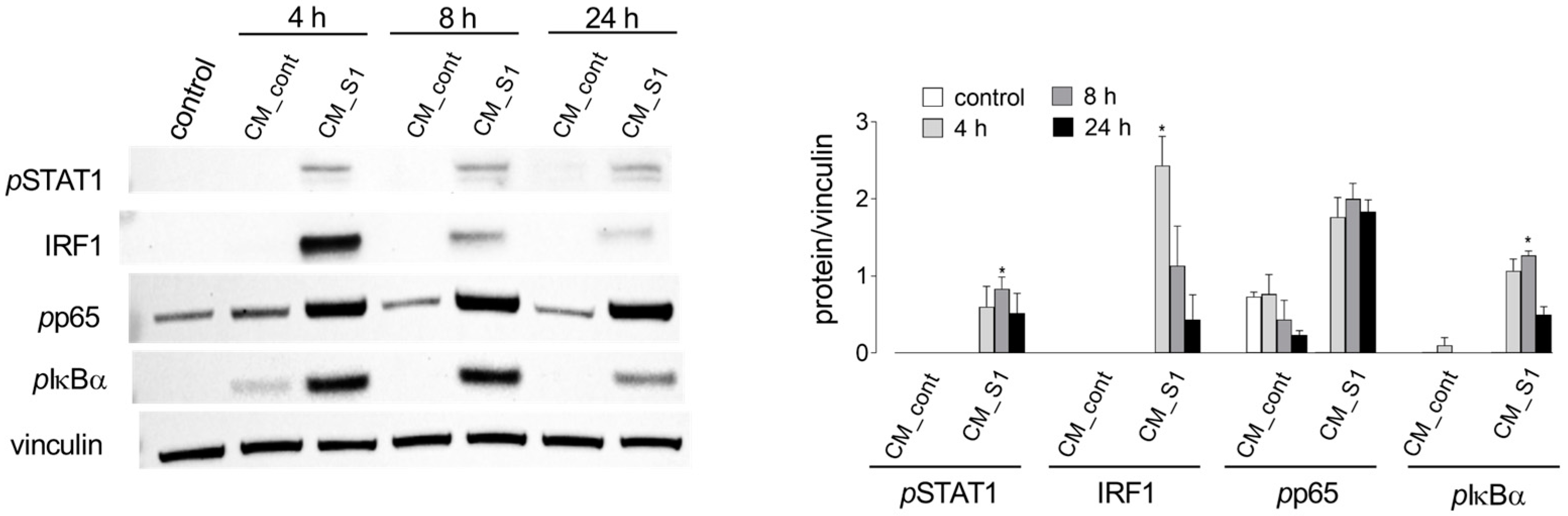 Biomolecules 14 00927 g002