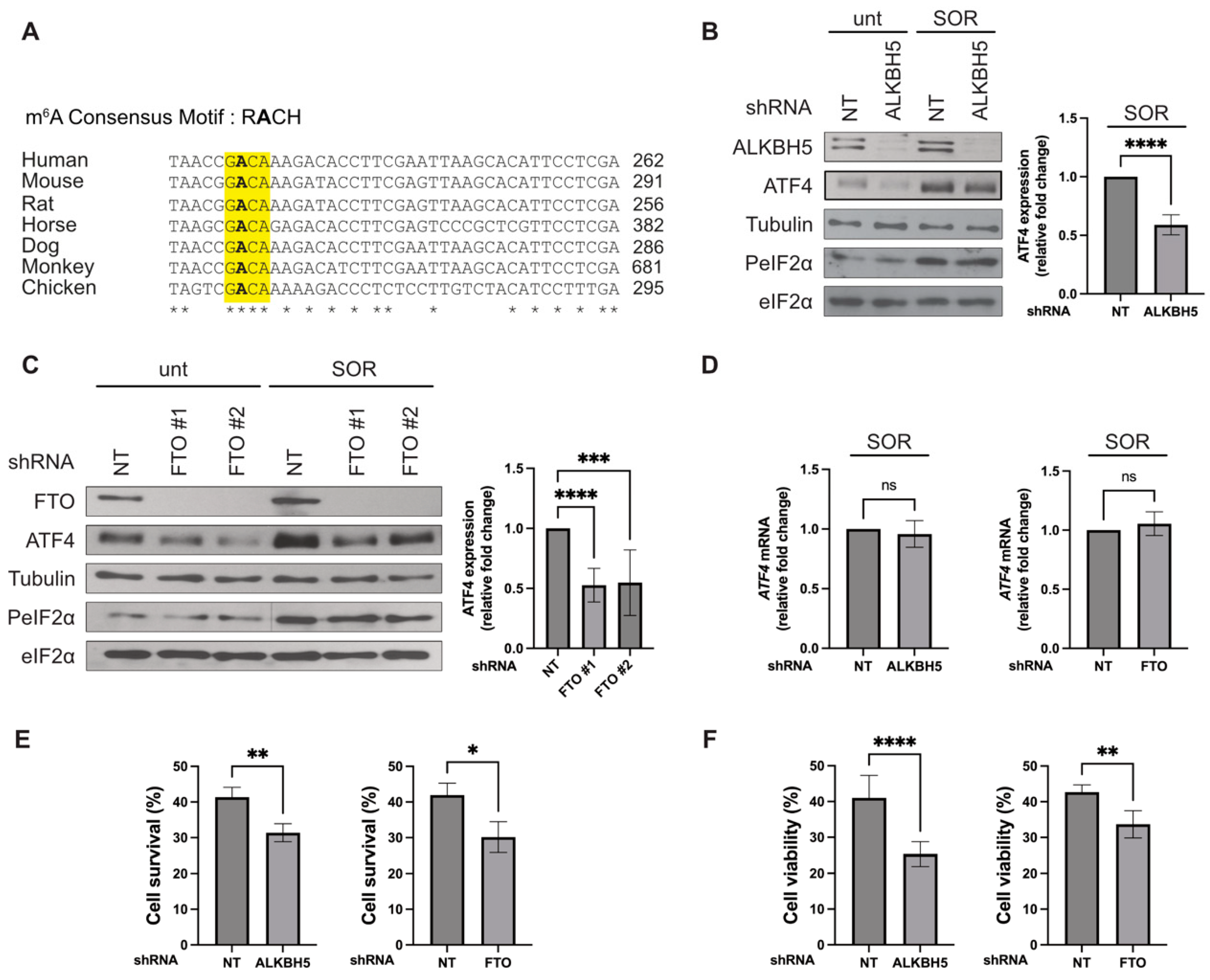 Biomolecules 14 00932 g001