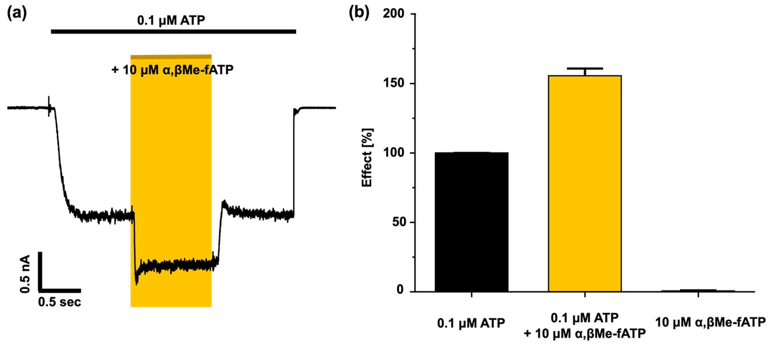 Biomolecules 14 00942 g005