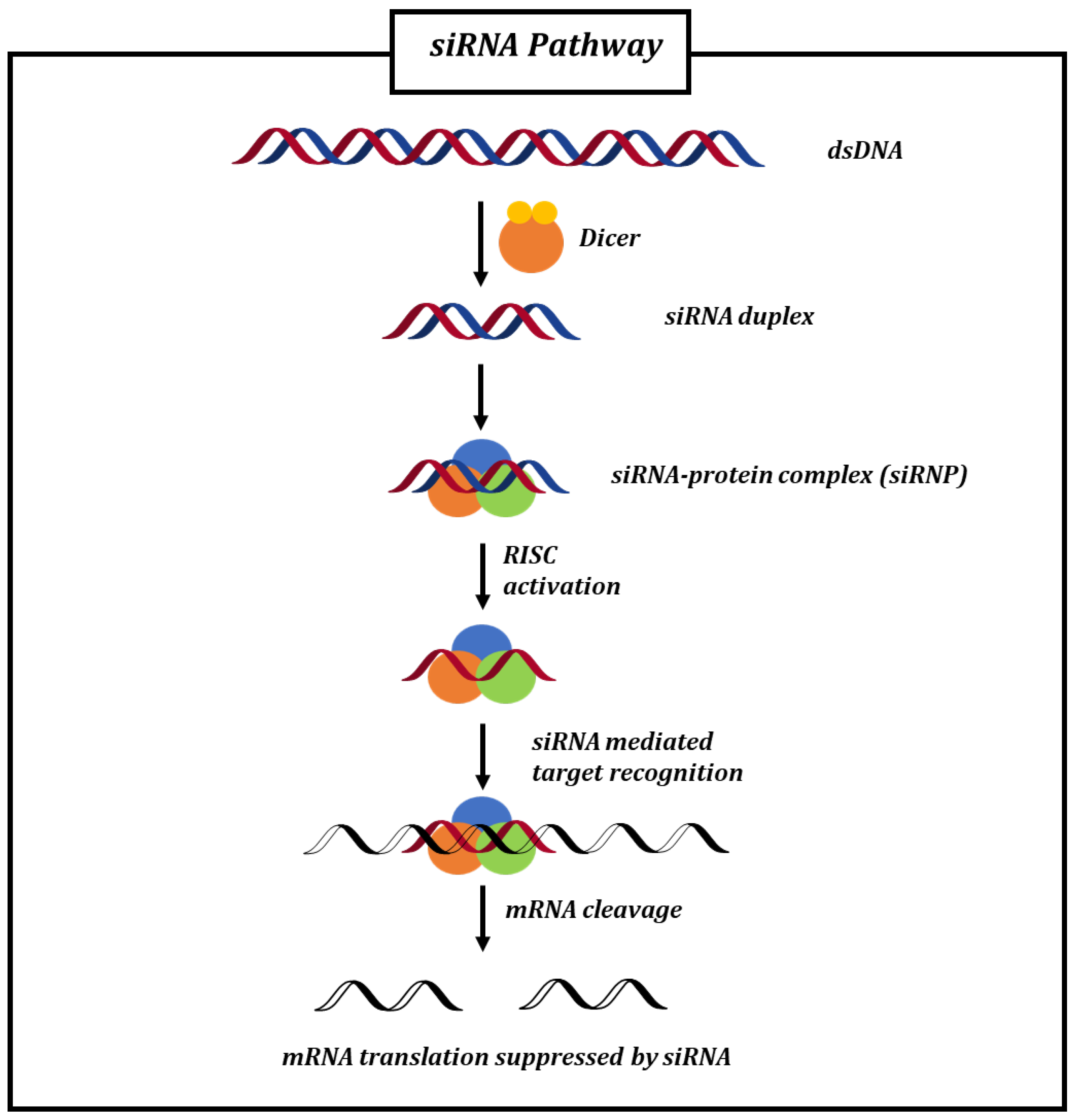 Biomolecules 14 00949 g003