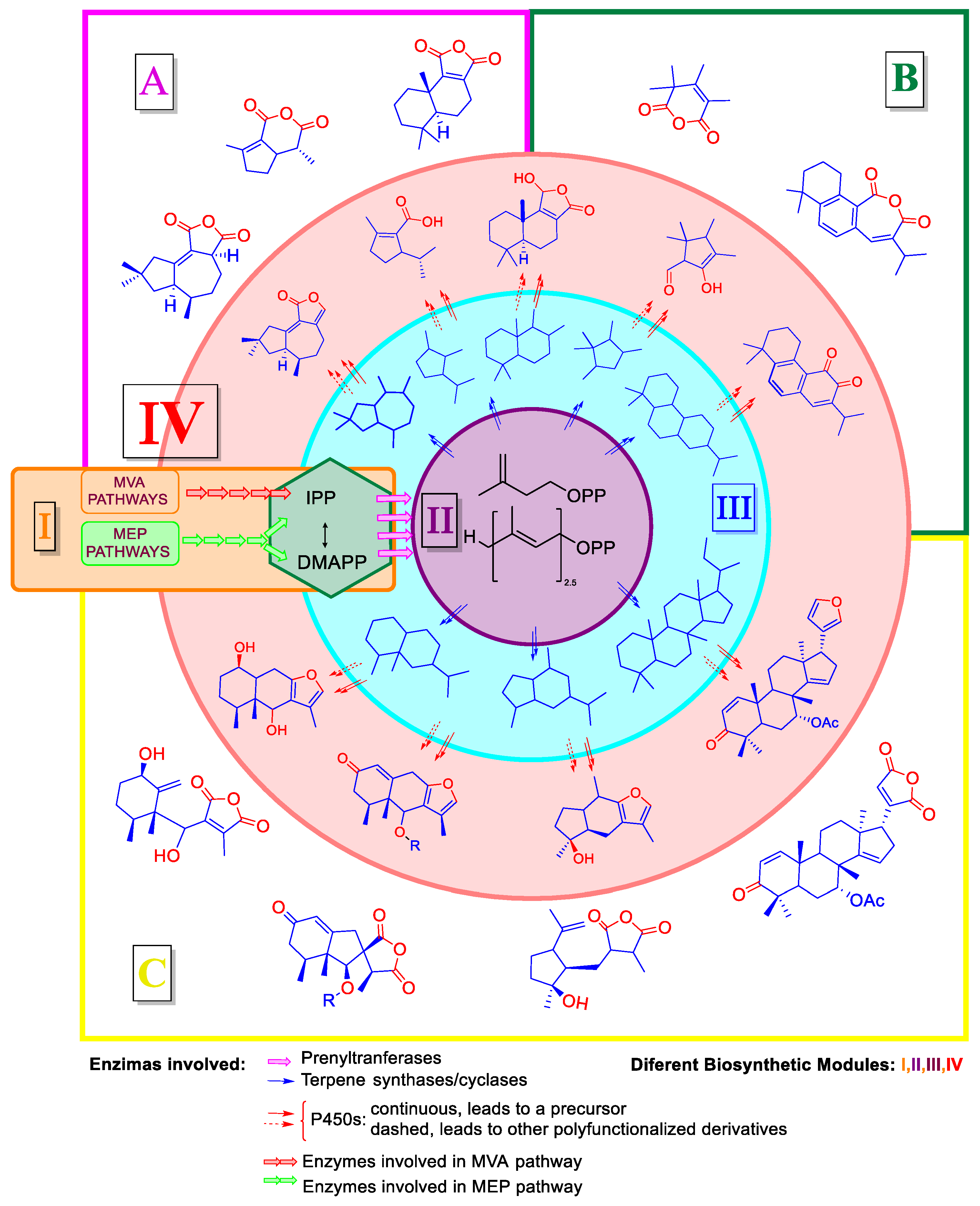 Biomolecules 14 00955 g001 Biomolecules 14 00955 g001
