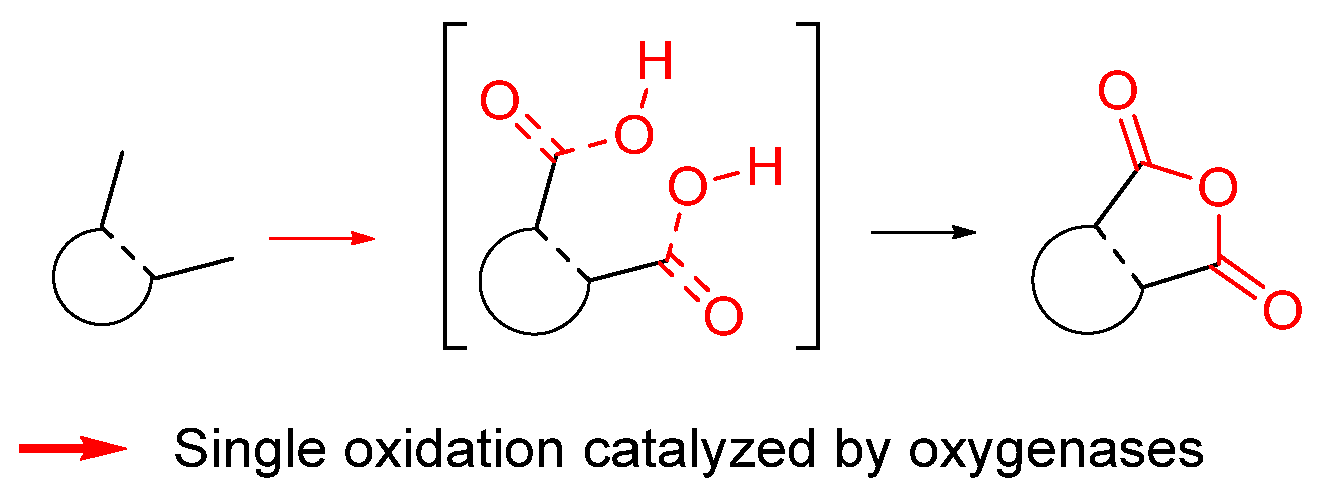 Biomolecules 14 00955 g002 Biomolecules 14 00955 g002