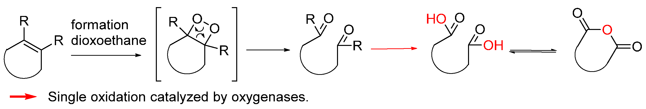 Biomolecules 14 00955 g003 Biomolecules 14 00955 g003