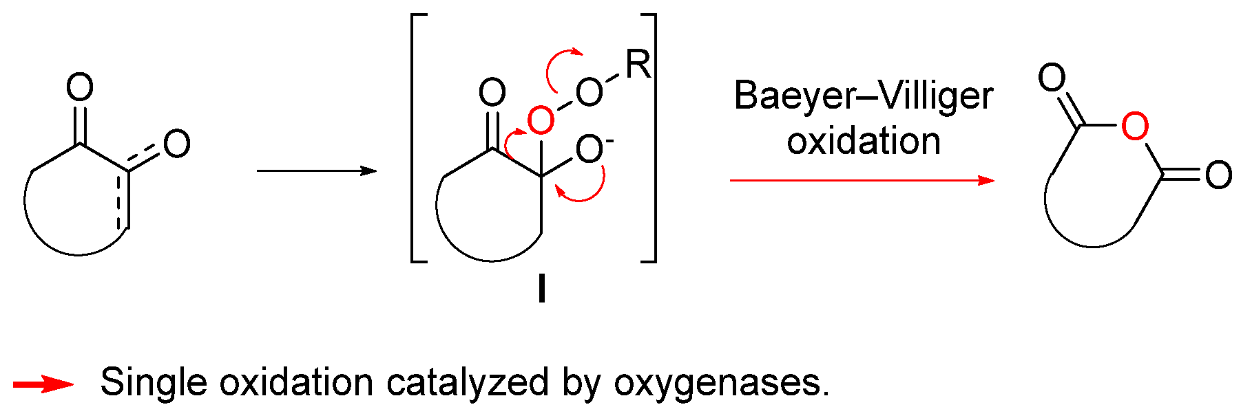 Biomolecules 14 00955 g004 Biomolecules 14 00955 g004
