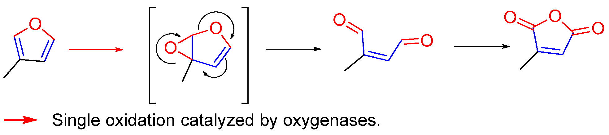 Biomolecules 14 00955 g005 Biomolecules 14 00955 g005