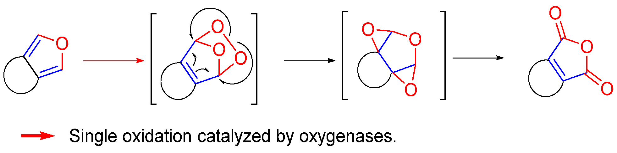 Biomolecules 14 00955 g006 Biomolecules 14 00955 g006