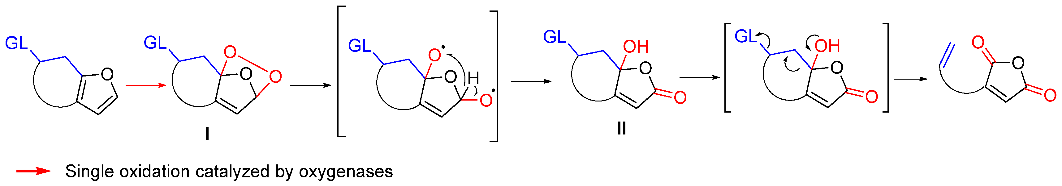 Biomolecules 14 00955 g007 Biomolecules 14 00955 g007