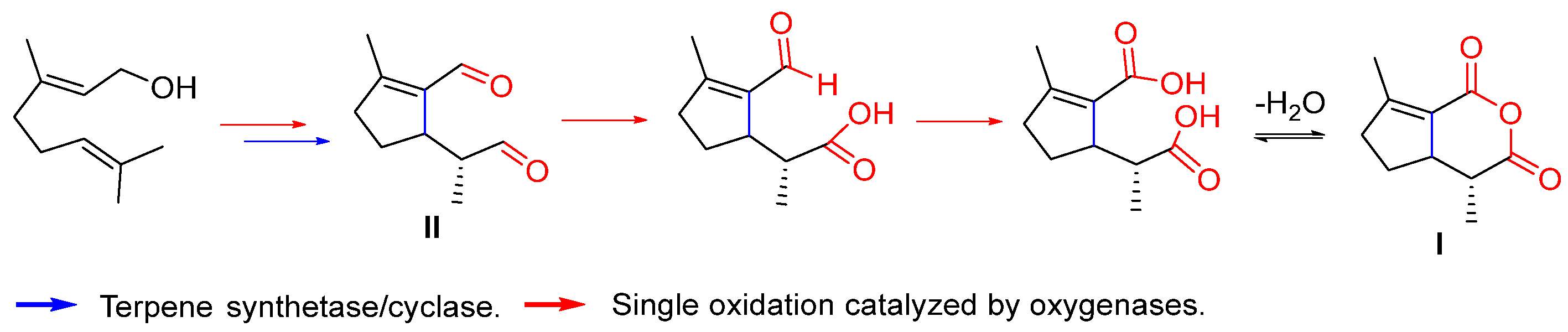 Biomolecules 14 00955 sch001 Biomolecules 14 00955 sch001