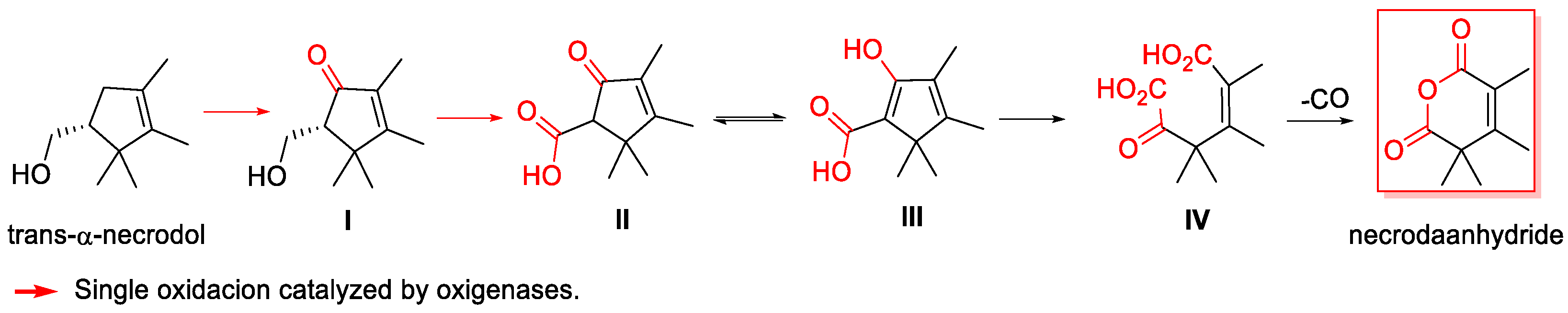 Biomolecules 14 00955 sch002 Biomolecules 14 00955 sch002