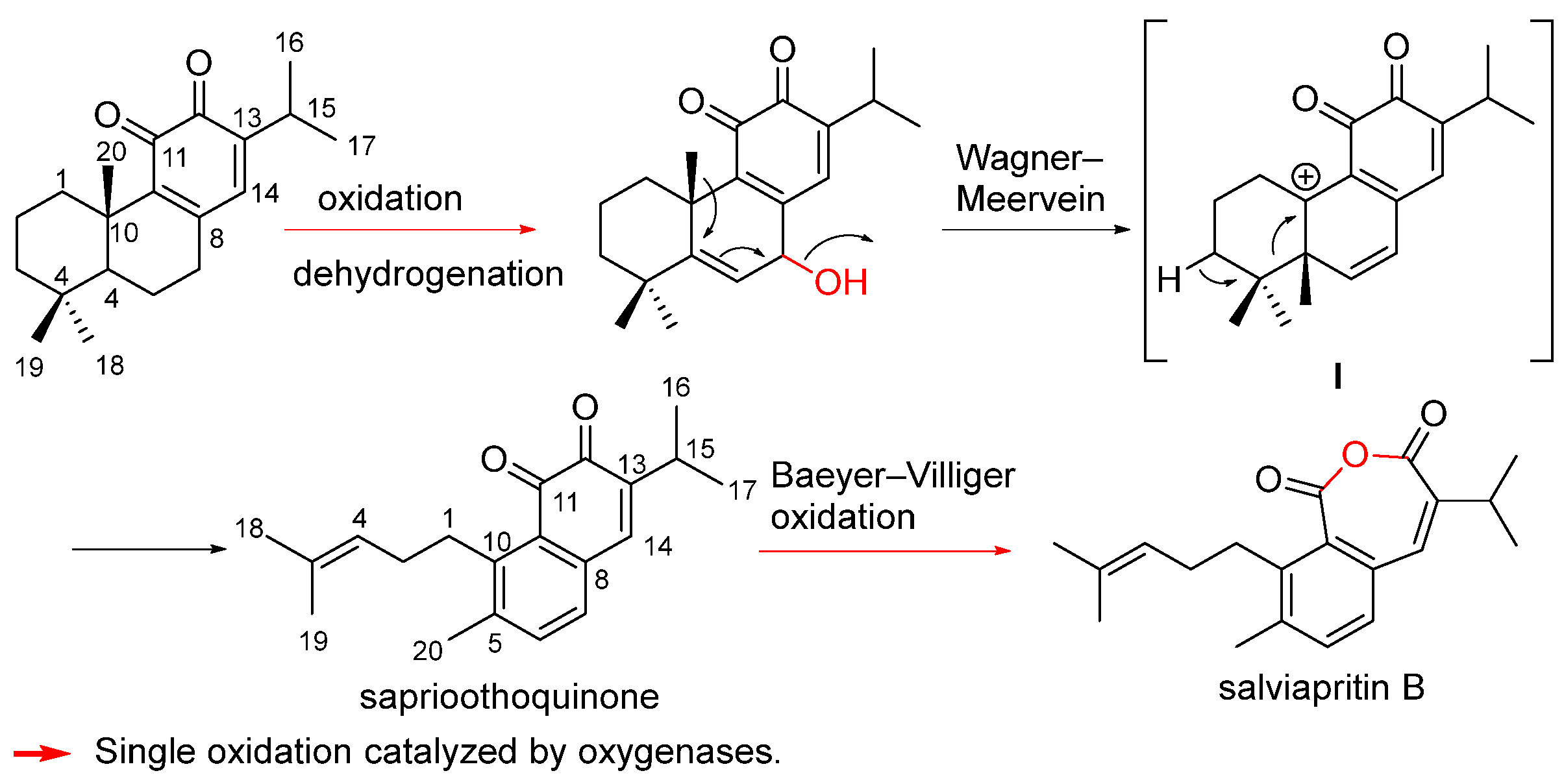 Biomolecules 14 00955 sch003 Biomolecules 14 00955 sch003