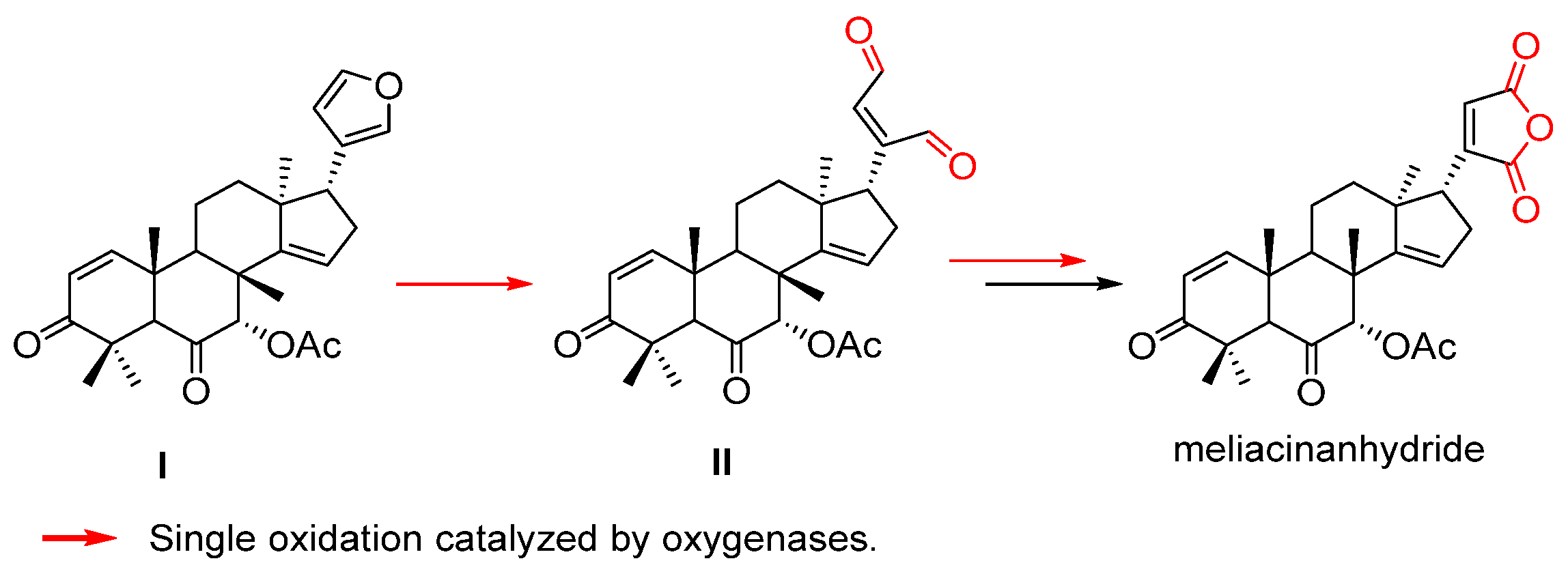 Biomolecules 14 00955 sch004 Biomolecules 14 00955 sch004