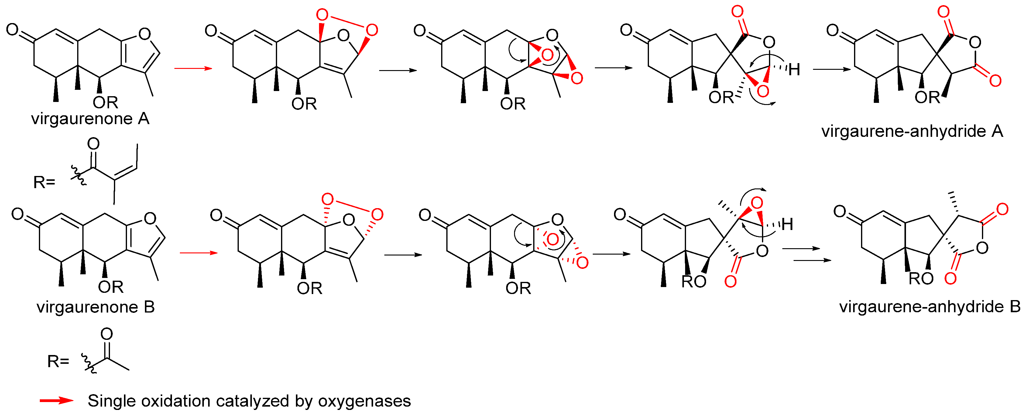 Biomolecules 14 00955 sch005 Biomolecules 14 00955 sch005