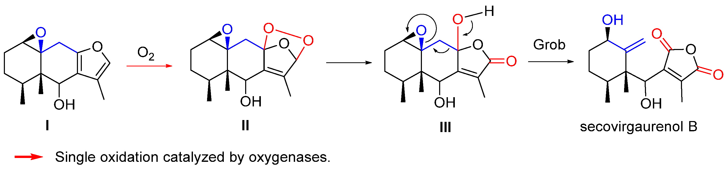 Biomolecules 14 00955 sch006 Biomolecules 14 00955 sch006