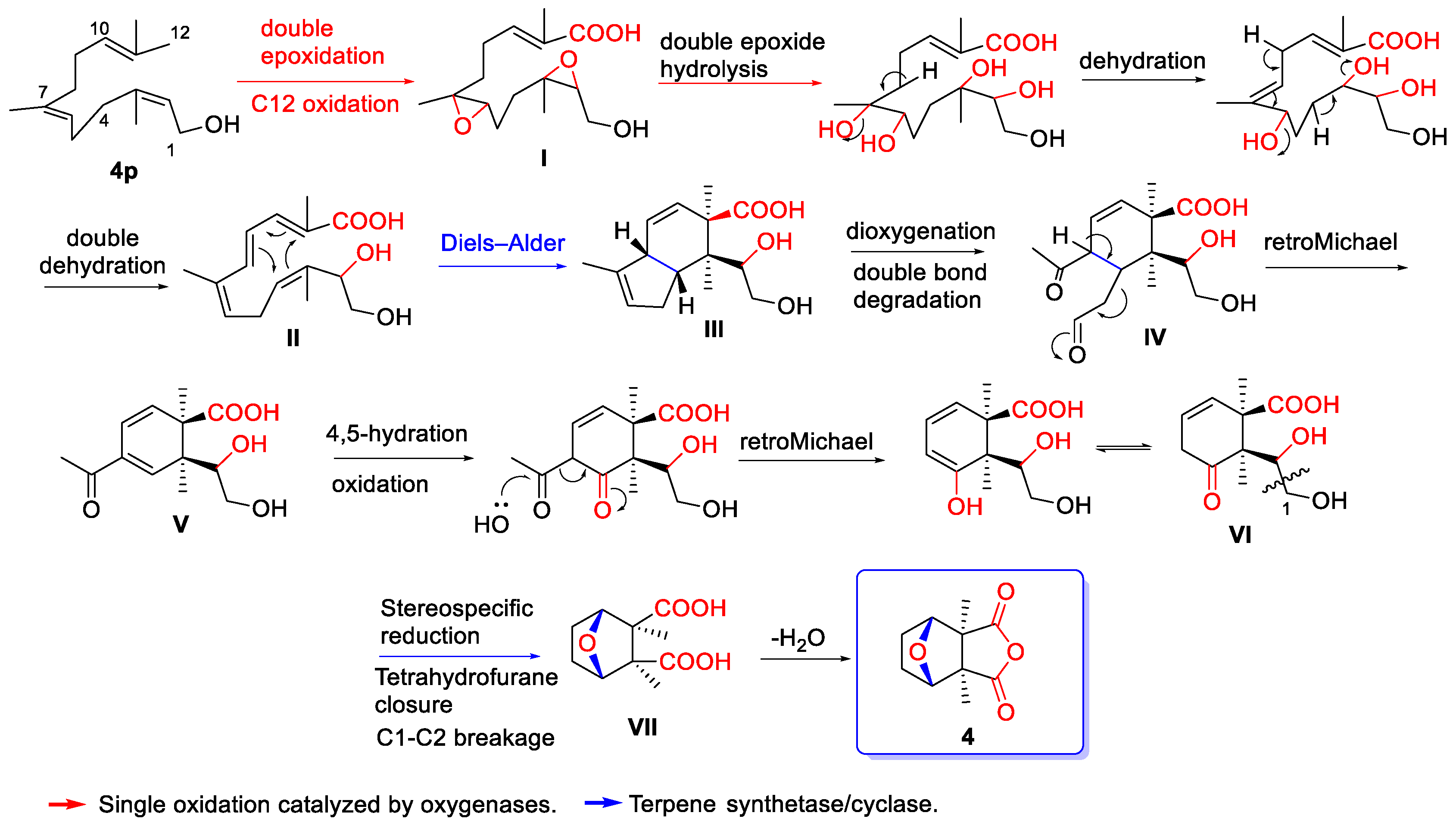 Biomolecules 14 00955 sch007 Biomolecules 14 00955 sch007