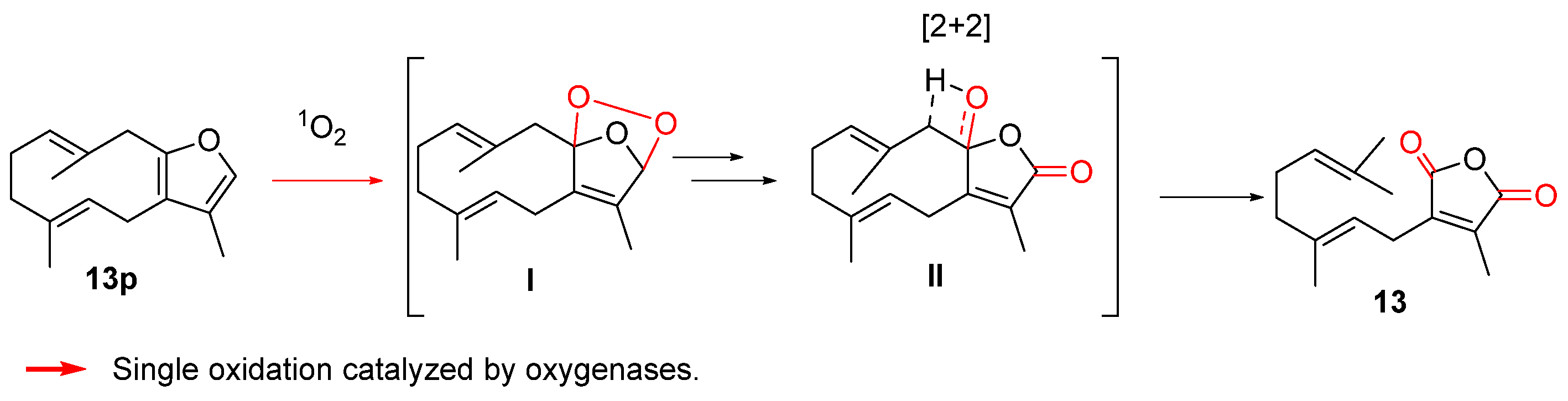 Biomolecules 14 00955 sch008 Biomolecules 14 00955 sch008