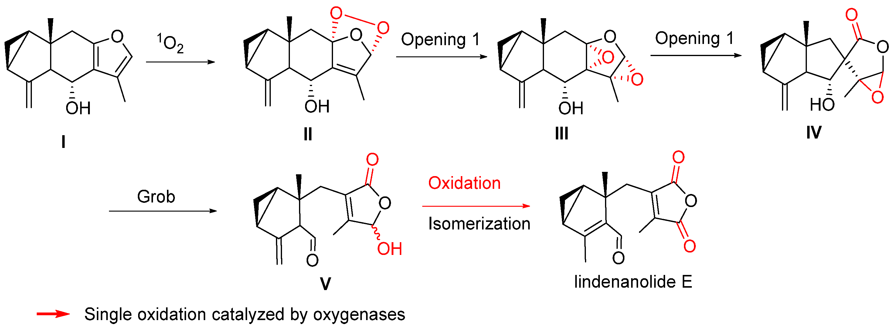 Biomolecules 14 00955 sch009 Biomolecules 14 00955 sch009
