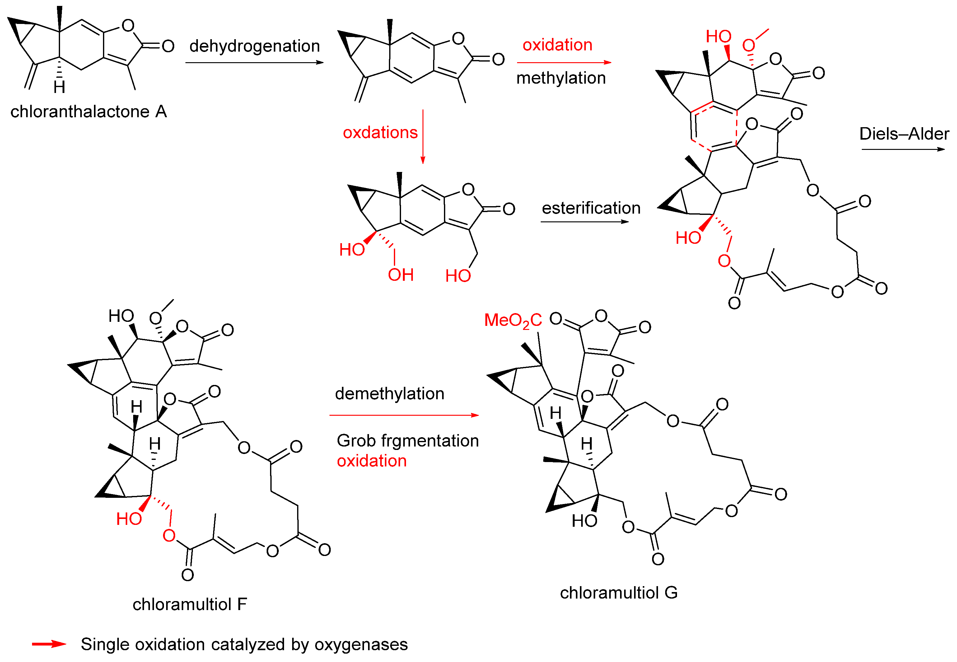 Biomolecules 14 00955 sch010 Biomolecules 14 00955 sch010