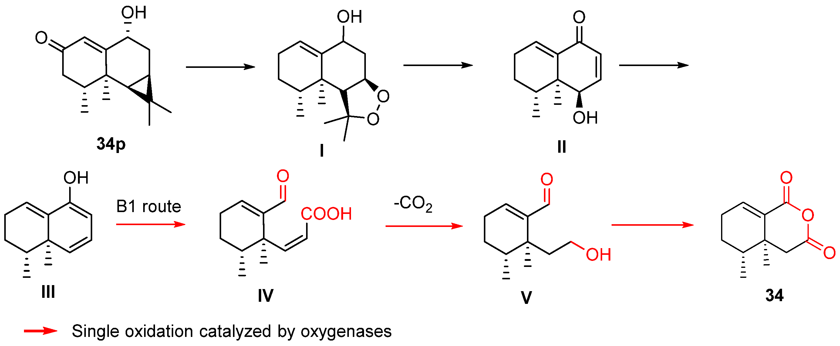 Biomolecules 14 00955 sch011 Biomolecules 14 00955 sch011