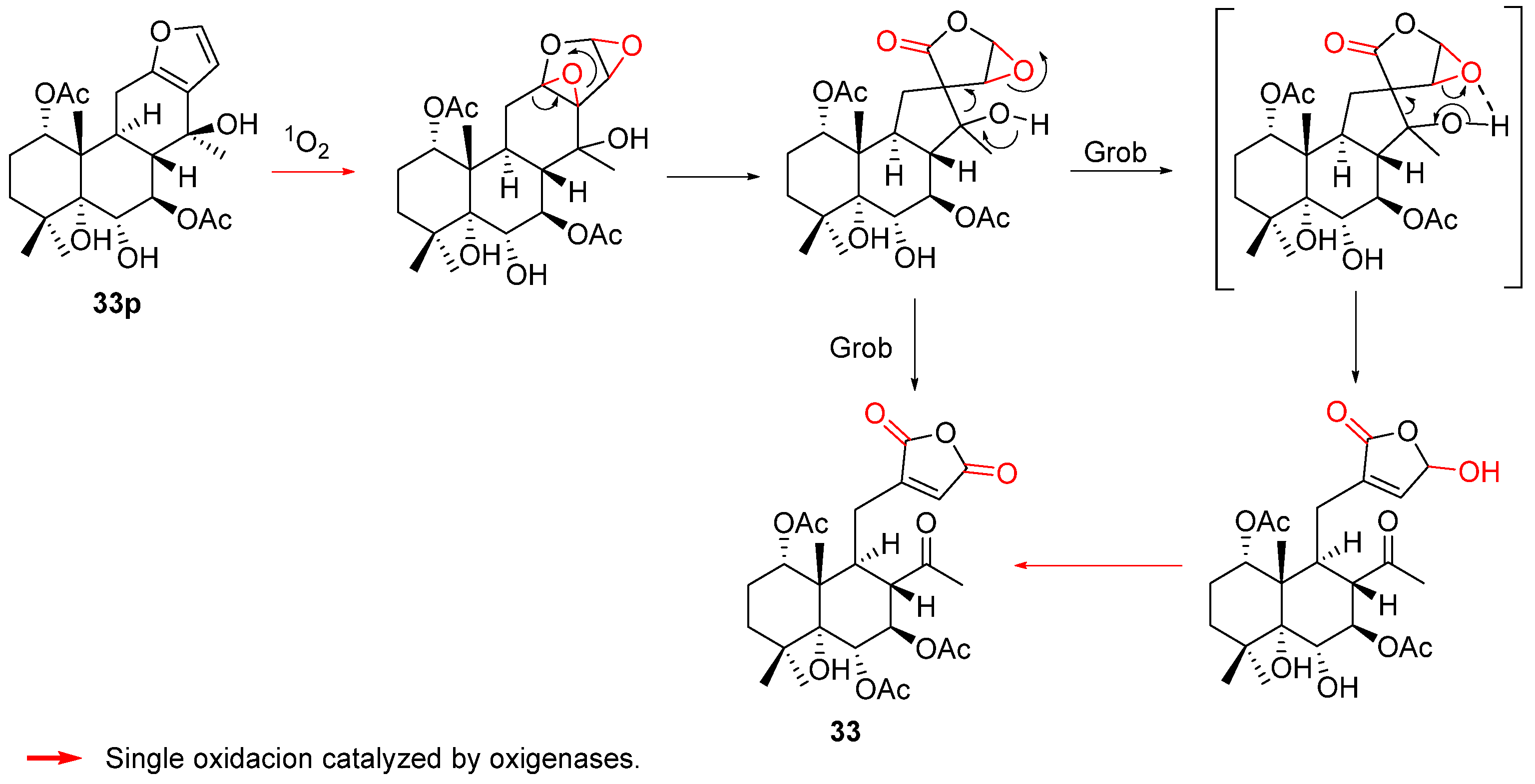 Biomolecules 14 00955 sch012 Biomolecules 14 00955 sch012