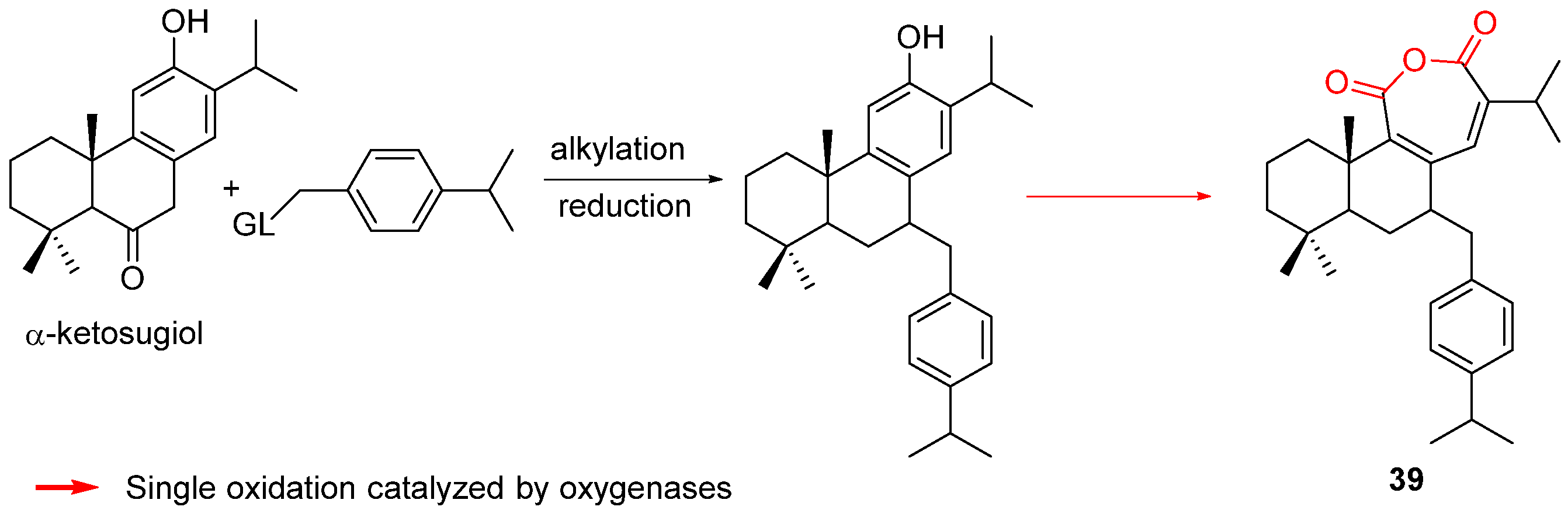 Biomolecules 14 00955 sch013 Biomolecules 14 00955 sch013