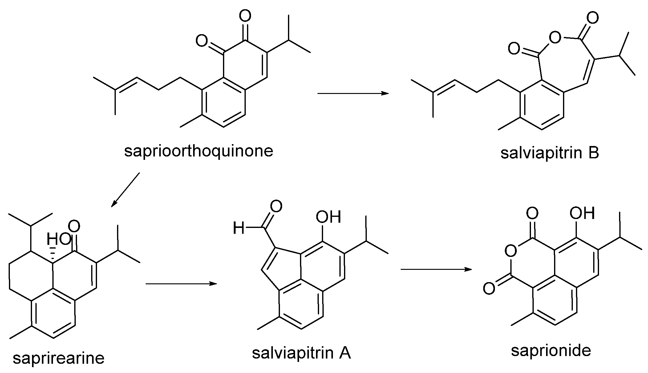 Biomolecules 14 00955 sch014 Biomolecules 14 00955 sch014