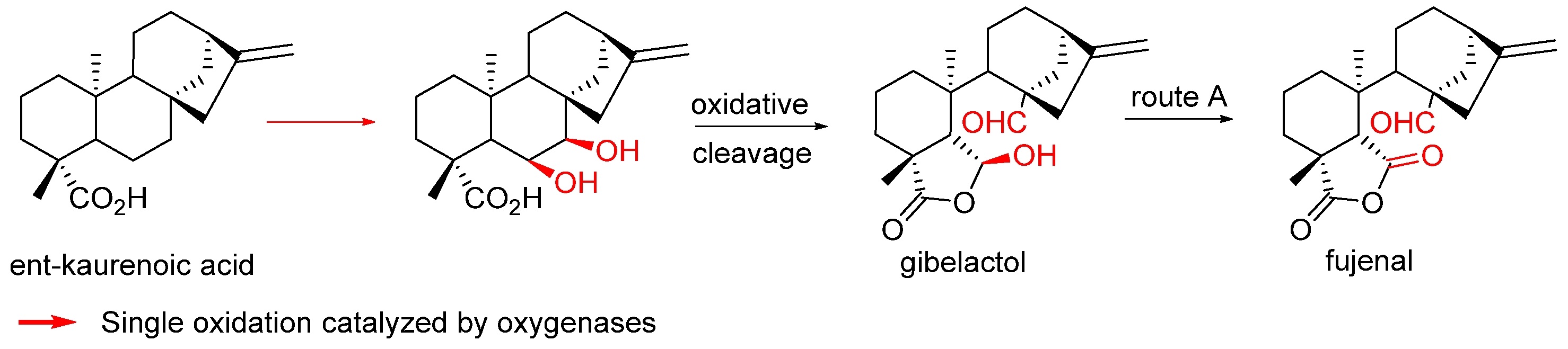 Biomolecules 14 00955 sch015 Biomolecules 14 00955 sch015