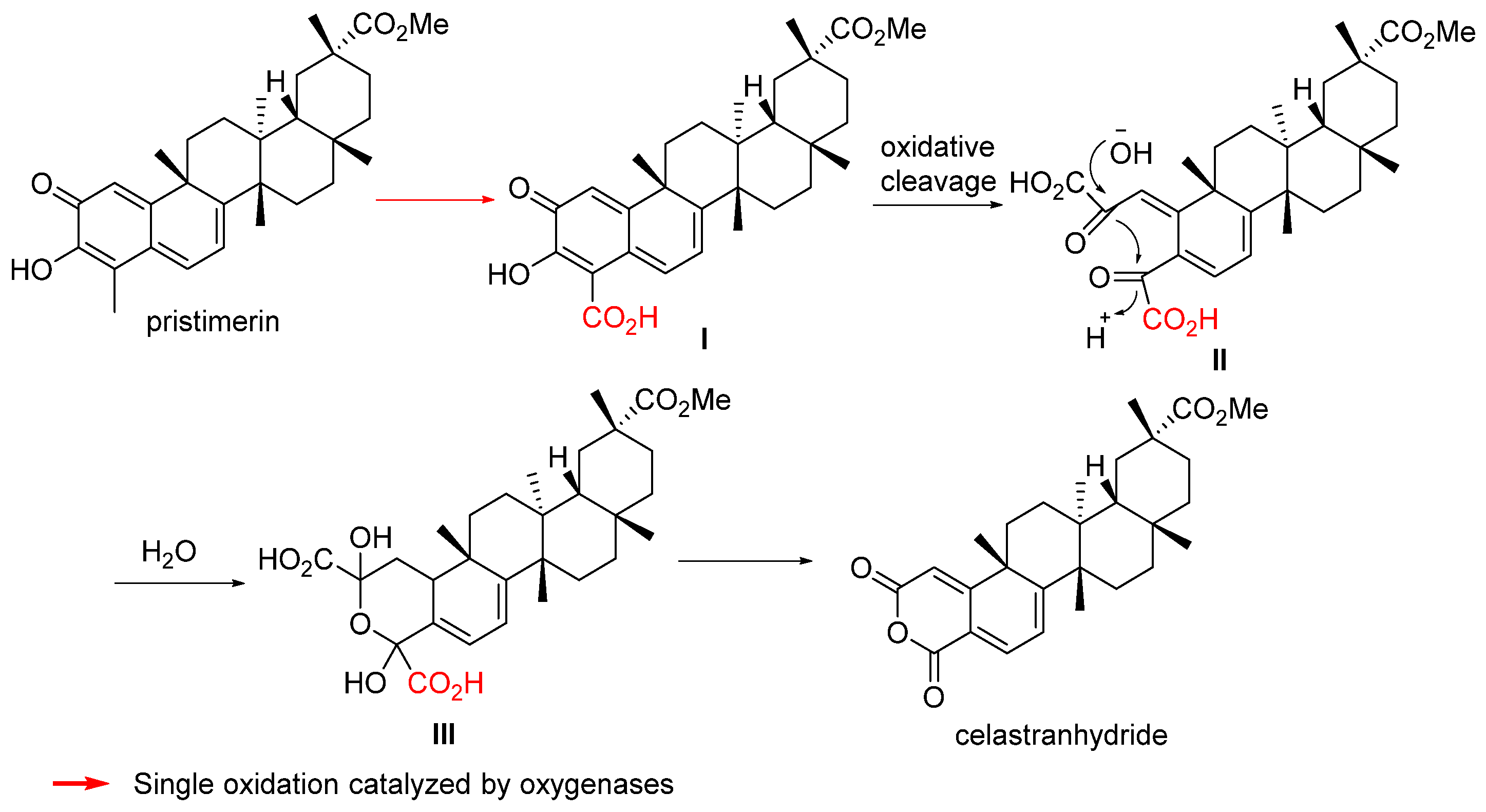 Biomolecules 14 00955 sch016 Biomolecules 14 00955 sch016