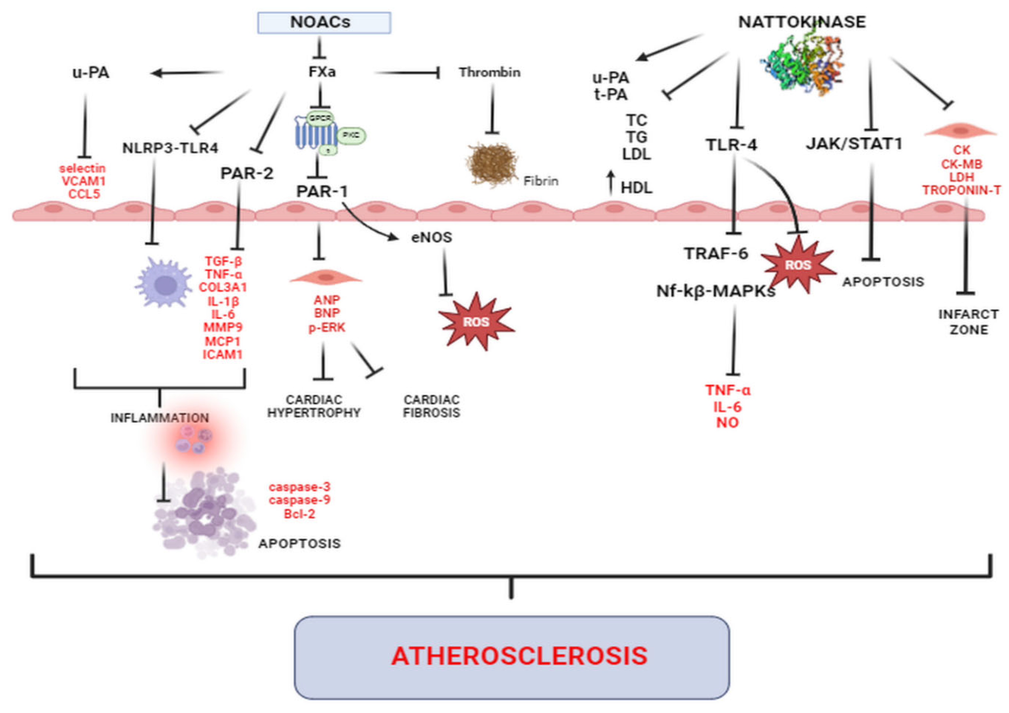 Biomolecules 14 00956 g002