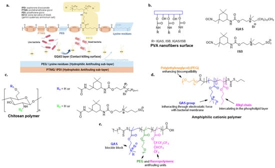 Biomolecules 14 00957 g007