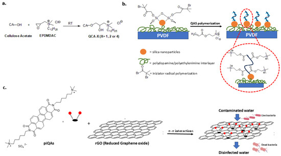 Biomolecules 14 00957 g010