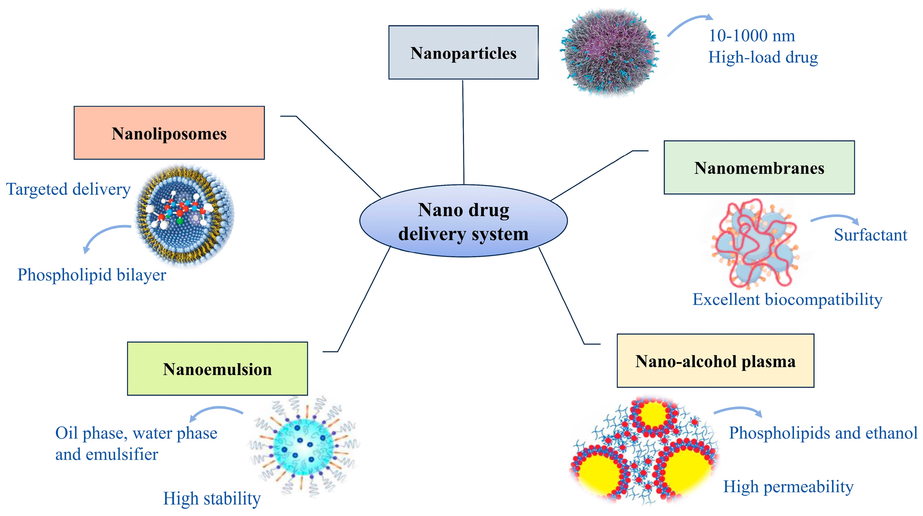 Biomolecules 14 00960 g002