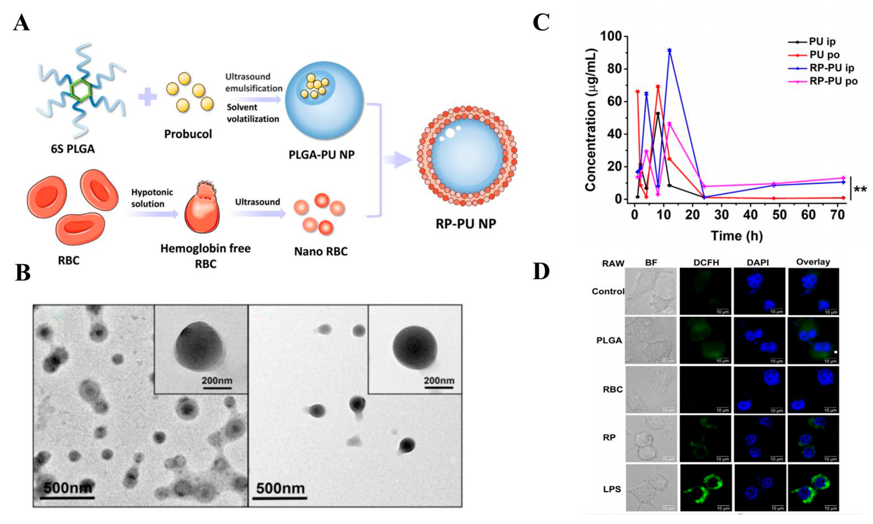 Biomolecules 14 00960 g003