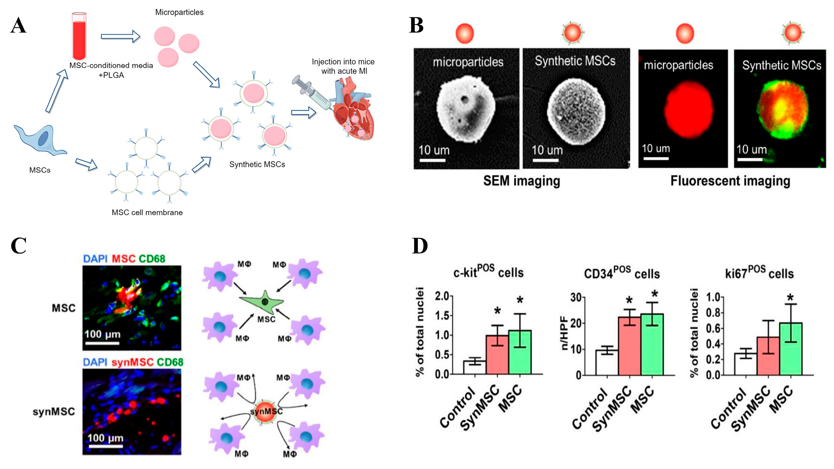 Biomolecules 14 00960 g006