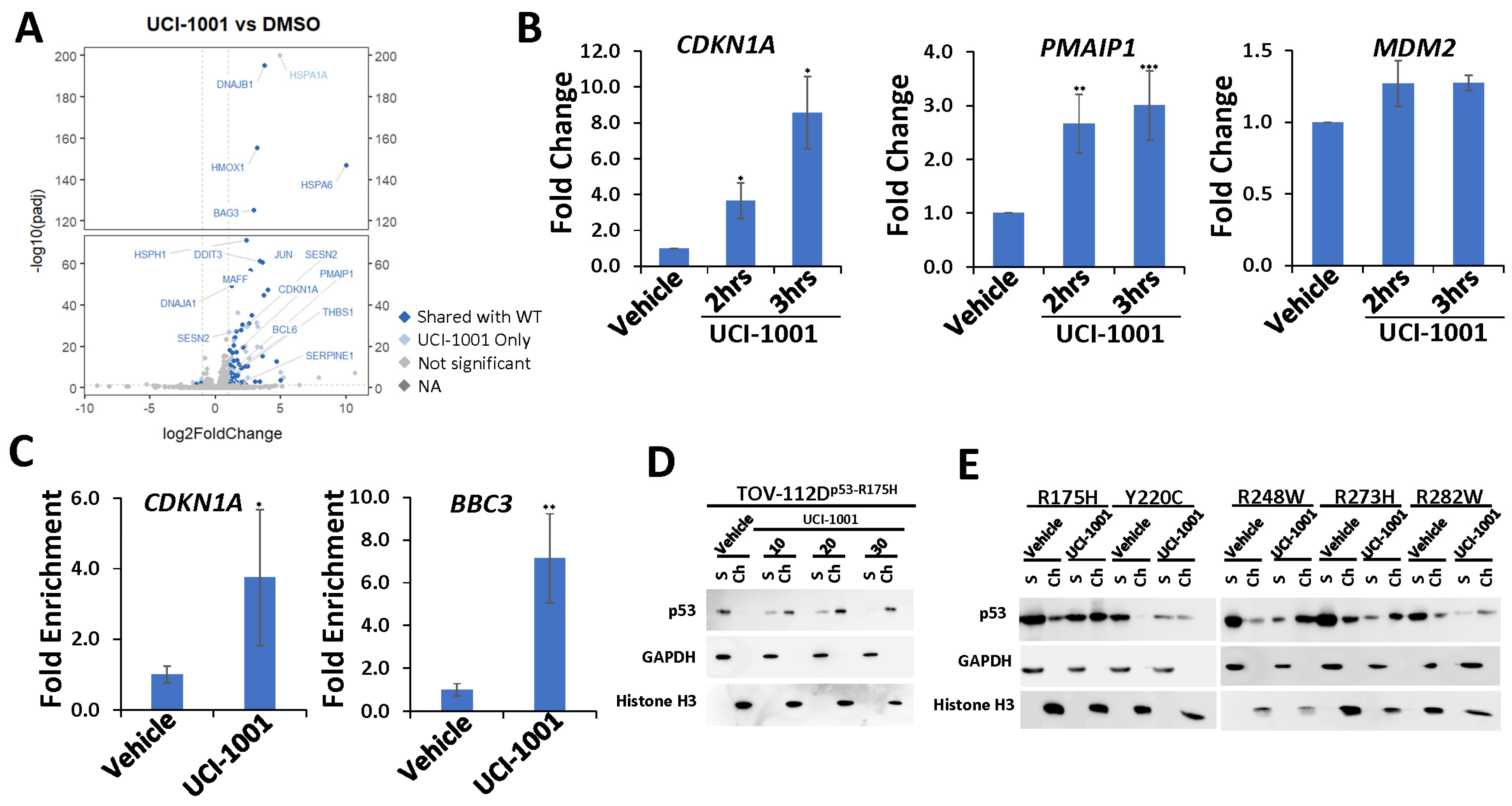 Biomolecules 14 00967 g004