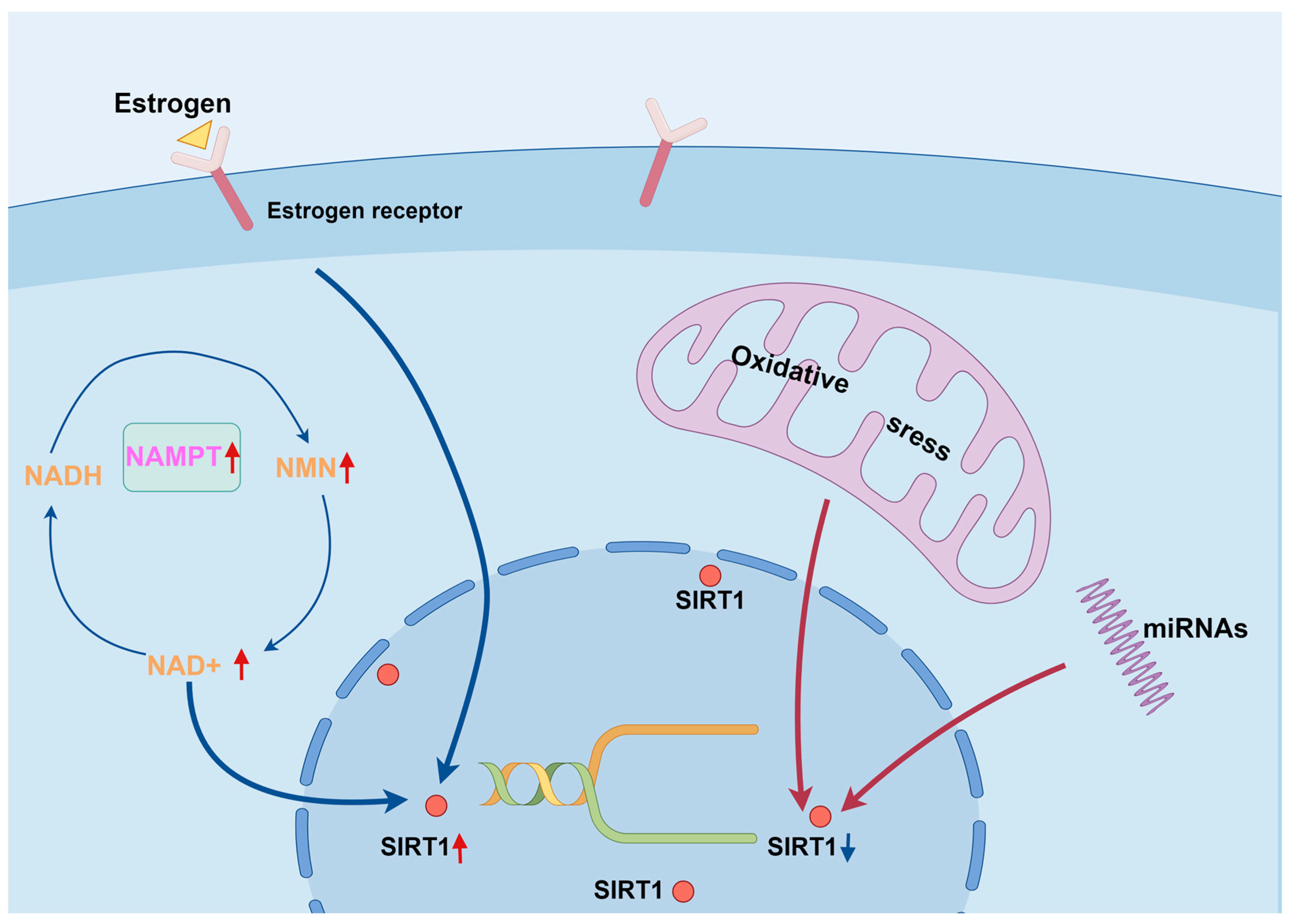 Biomolecules 14 00970 g002