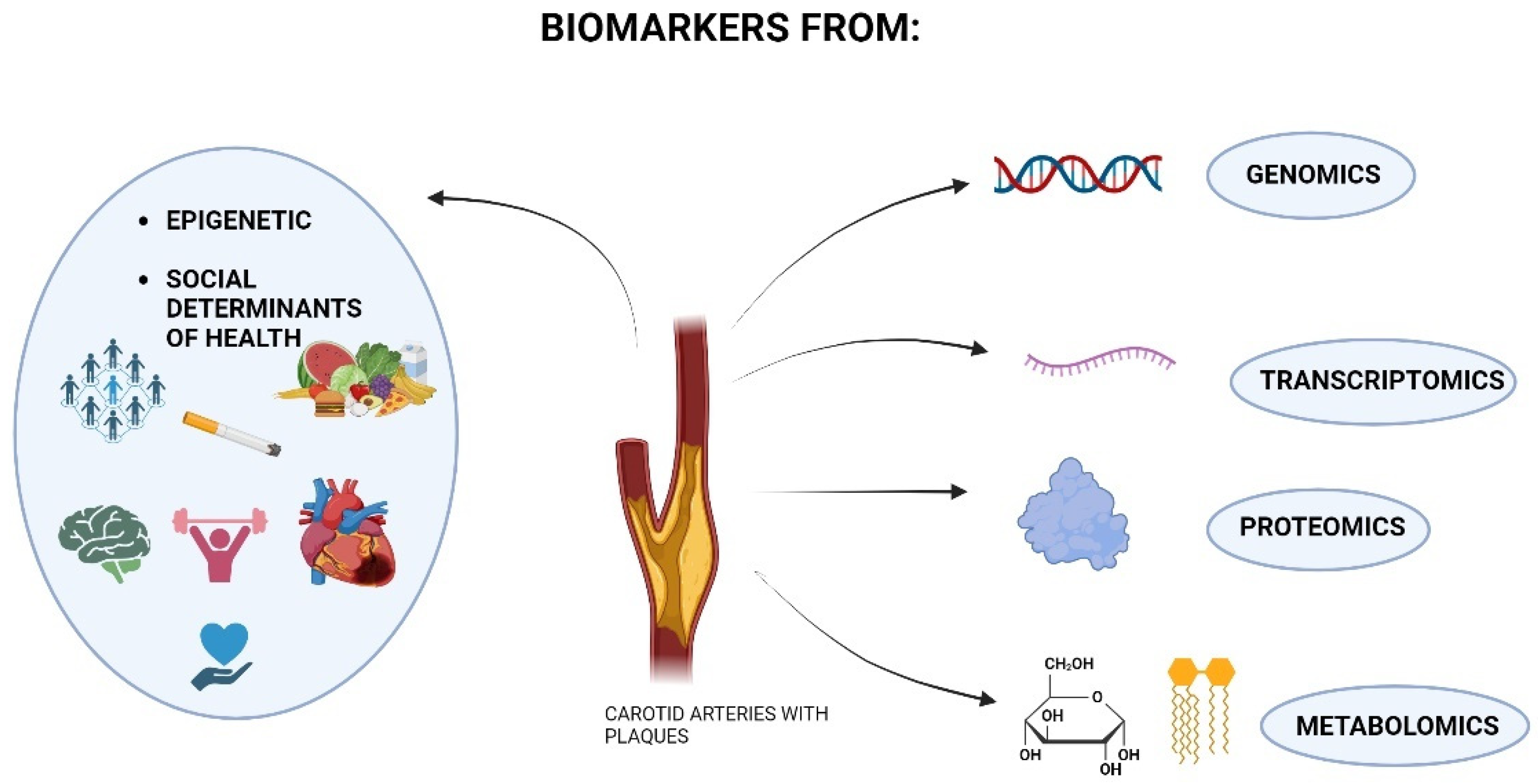Biomolecules 14 00972 g001