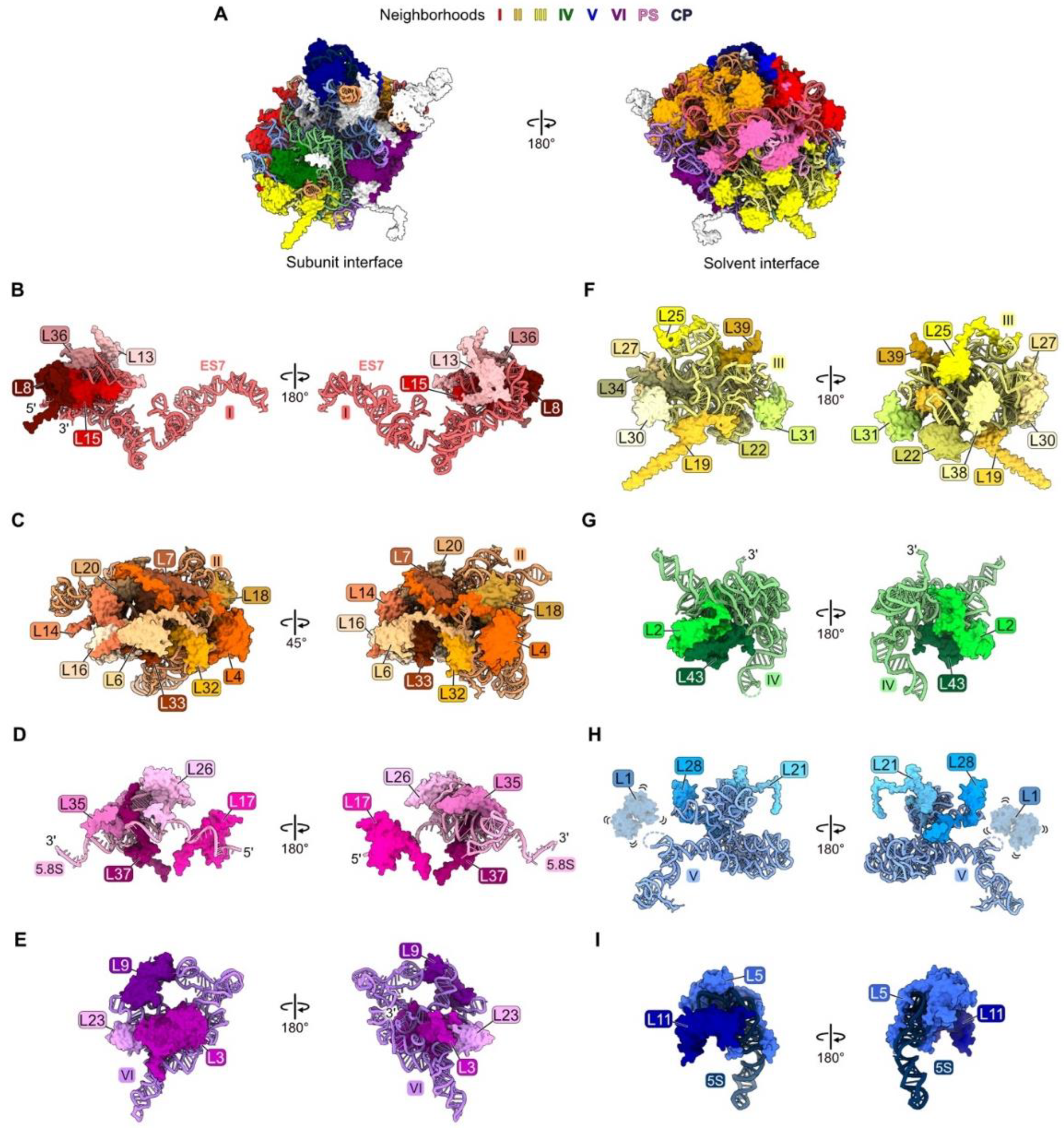 Biomolecules 14 00975 g001