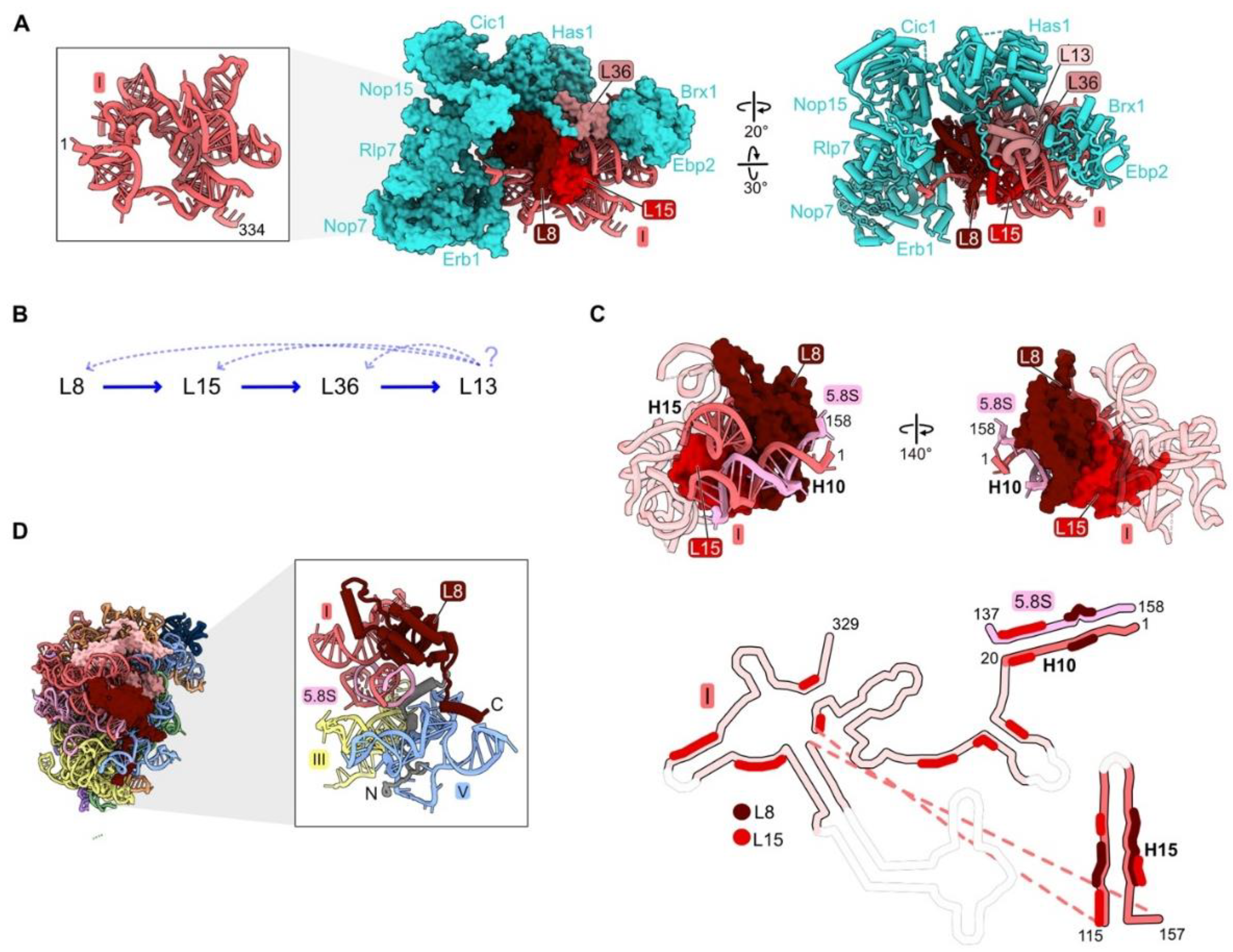 Biomolecules 14 00975 g002