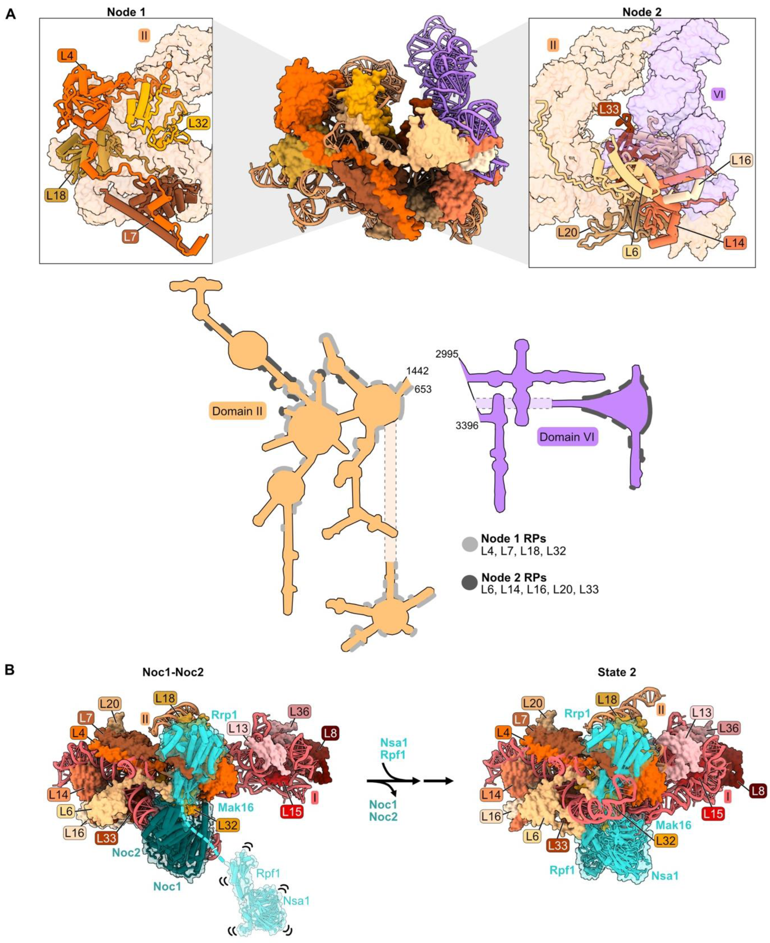 Biomolecules 14 00975 g003a