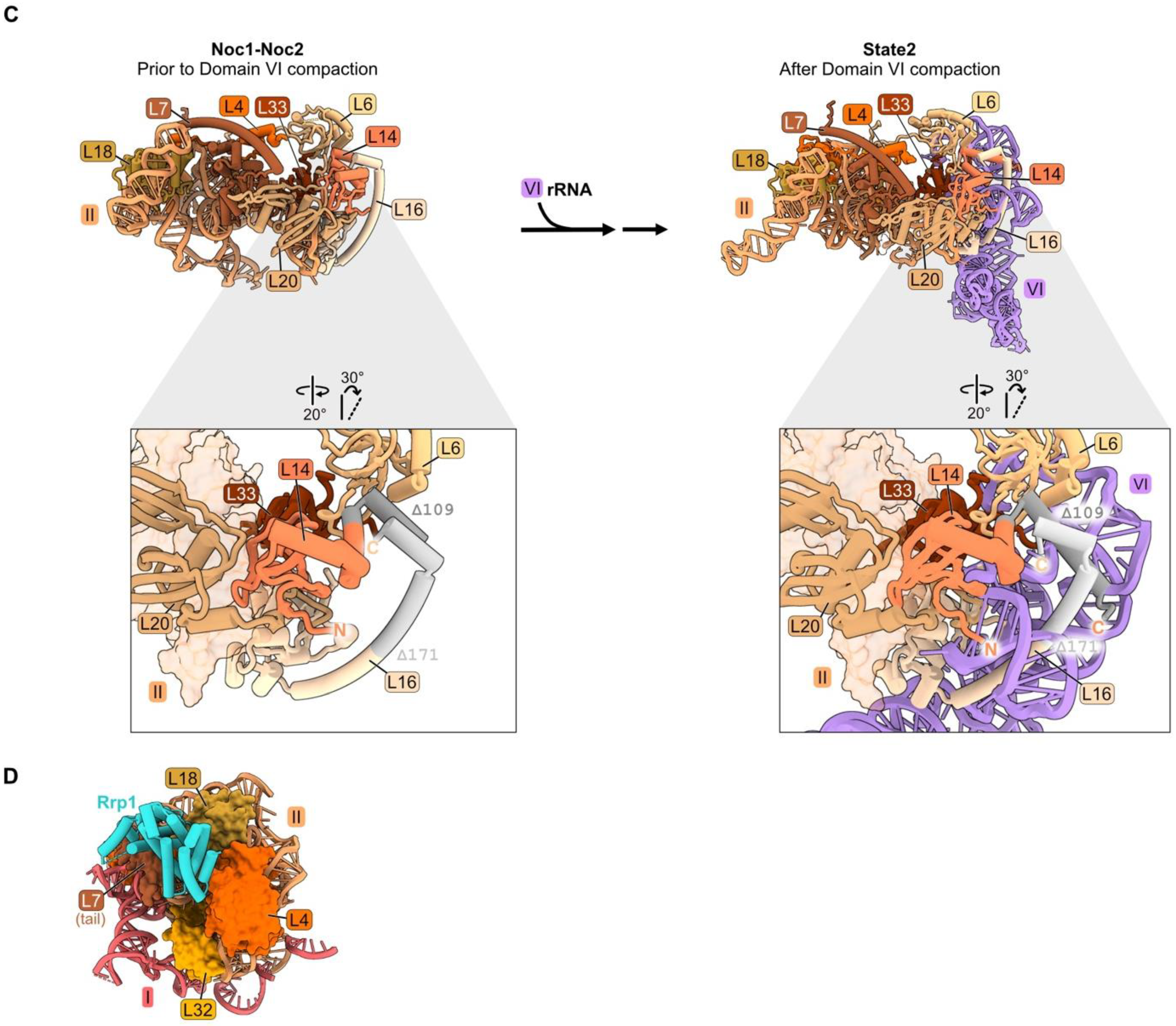 Biomolecules 14 00975 g003b