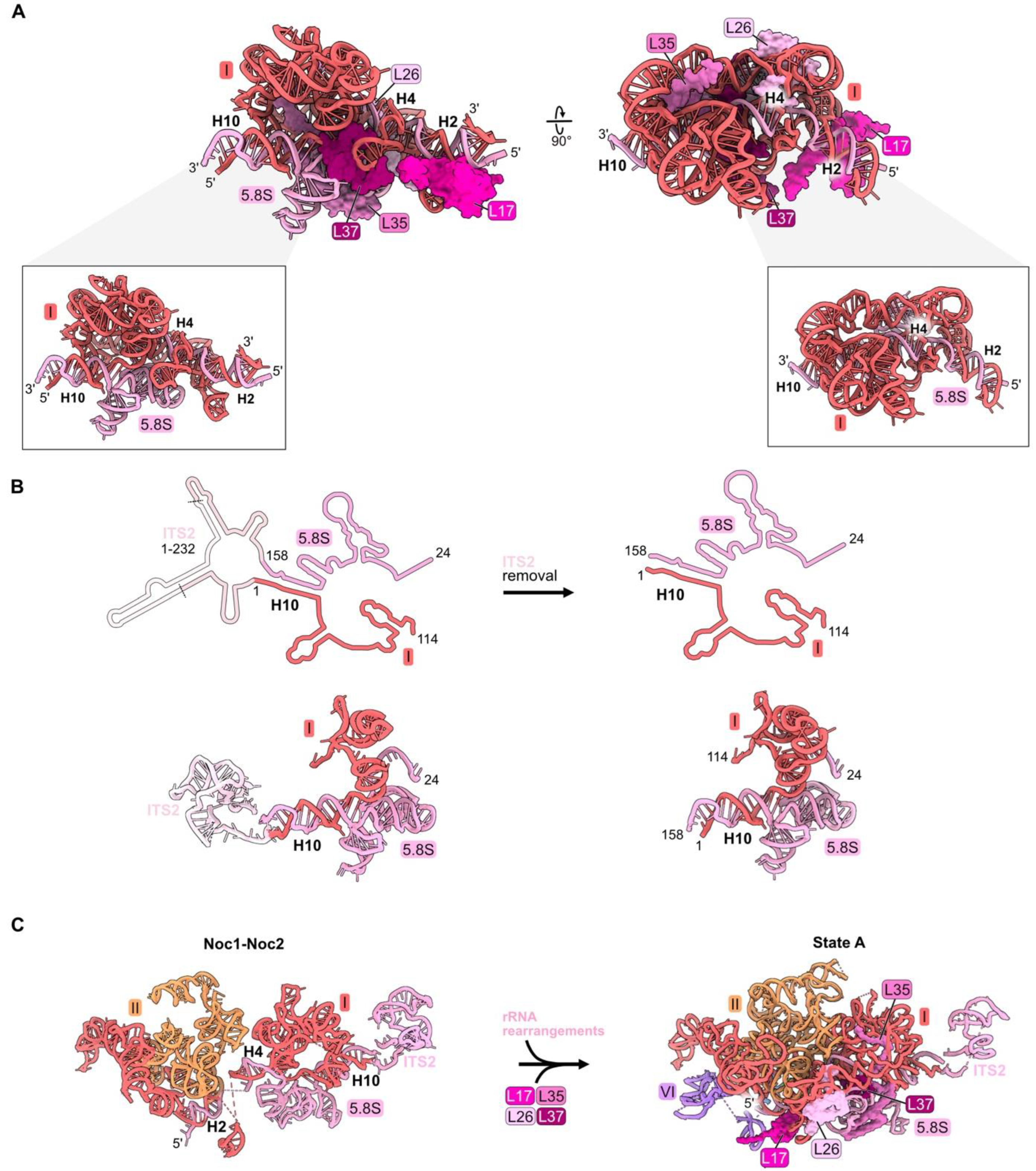 Biomolecules 14 00975 g004a