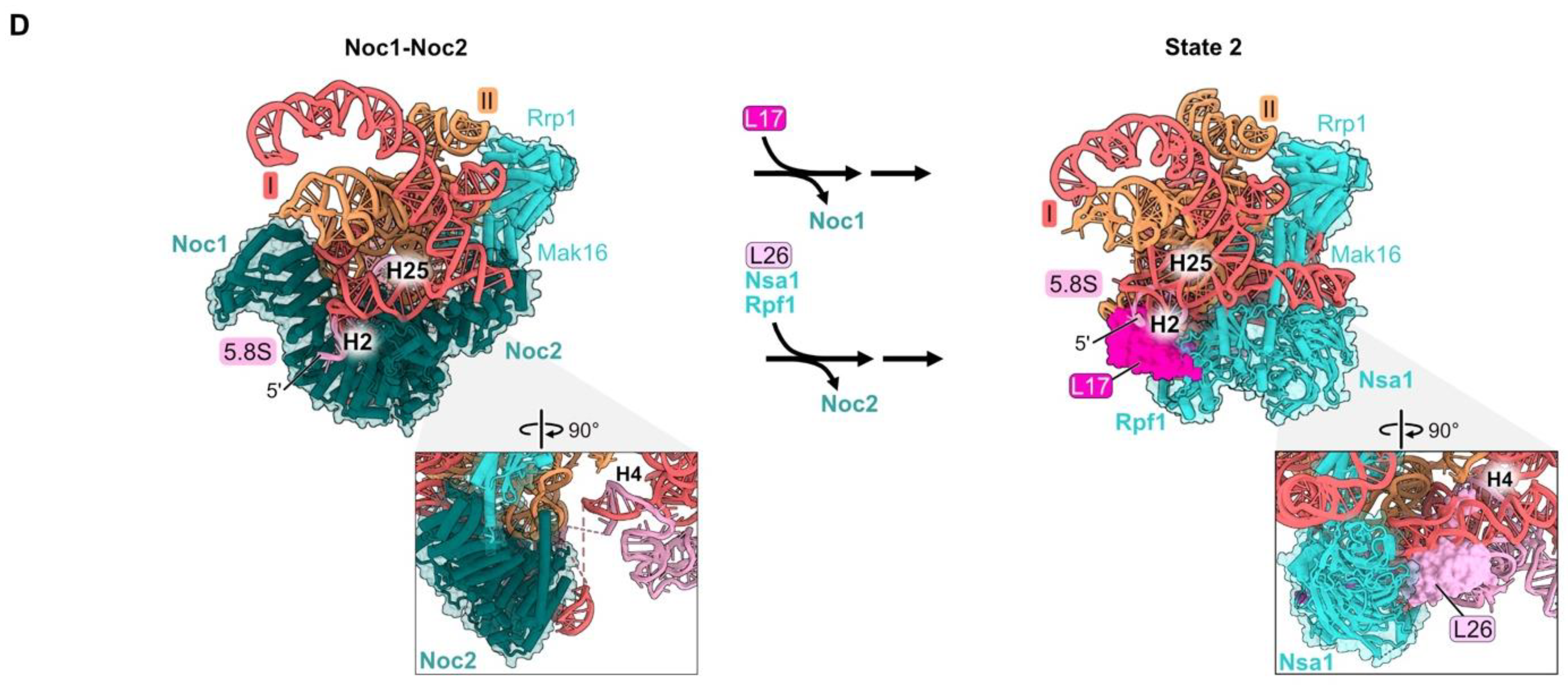 Biomolecules 14 00975 g004b