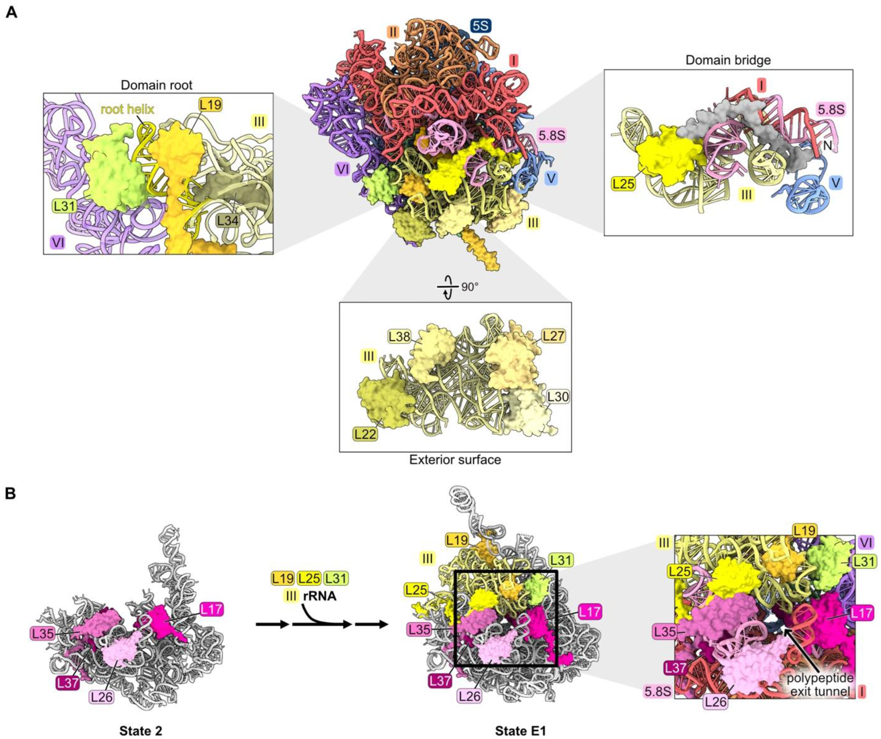 Biomolecules 14 00975 g006