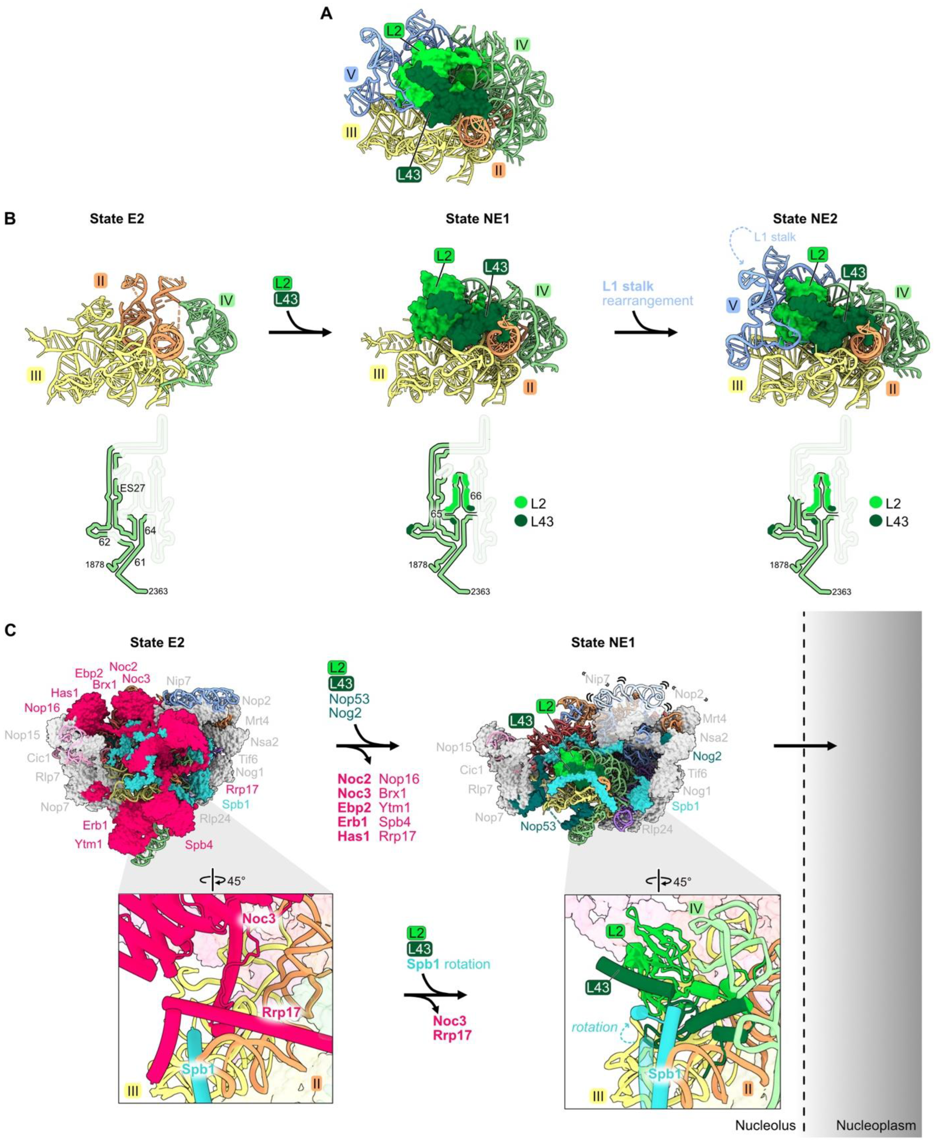 Biomolecules 14 00975 g007