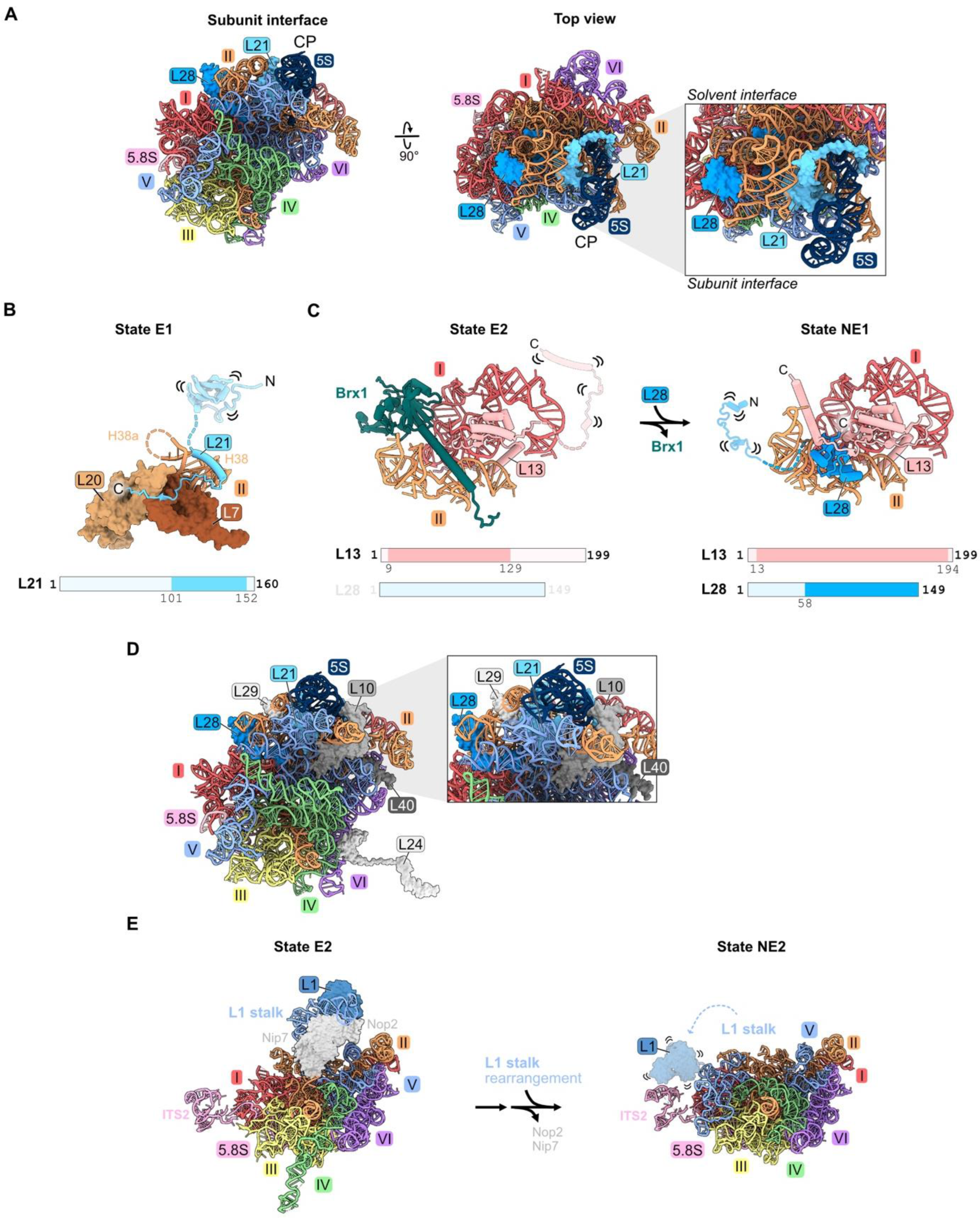 Biomolecules 14 00975 g008