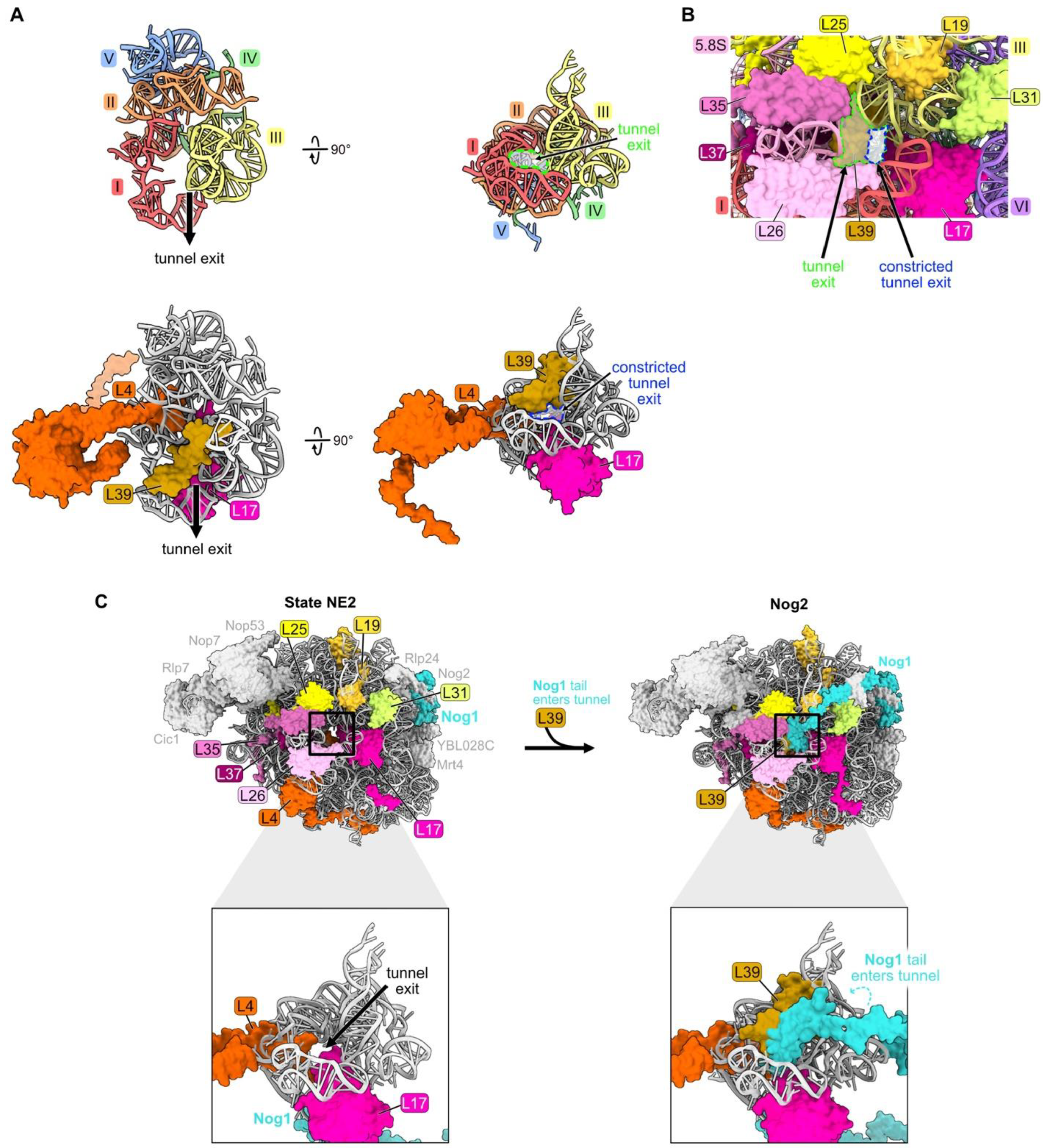 Biomolecules 14 00975 g009