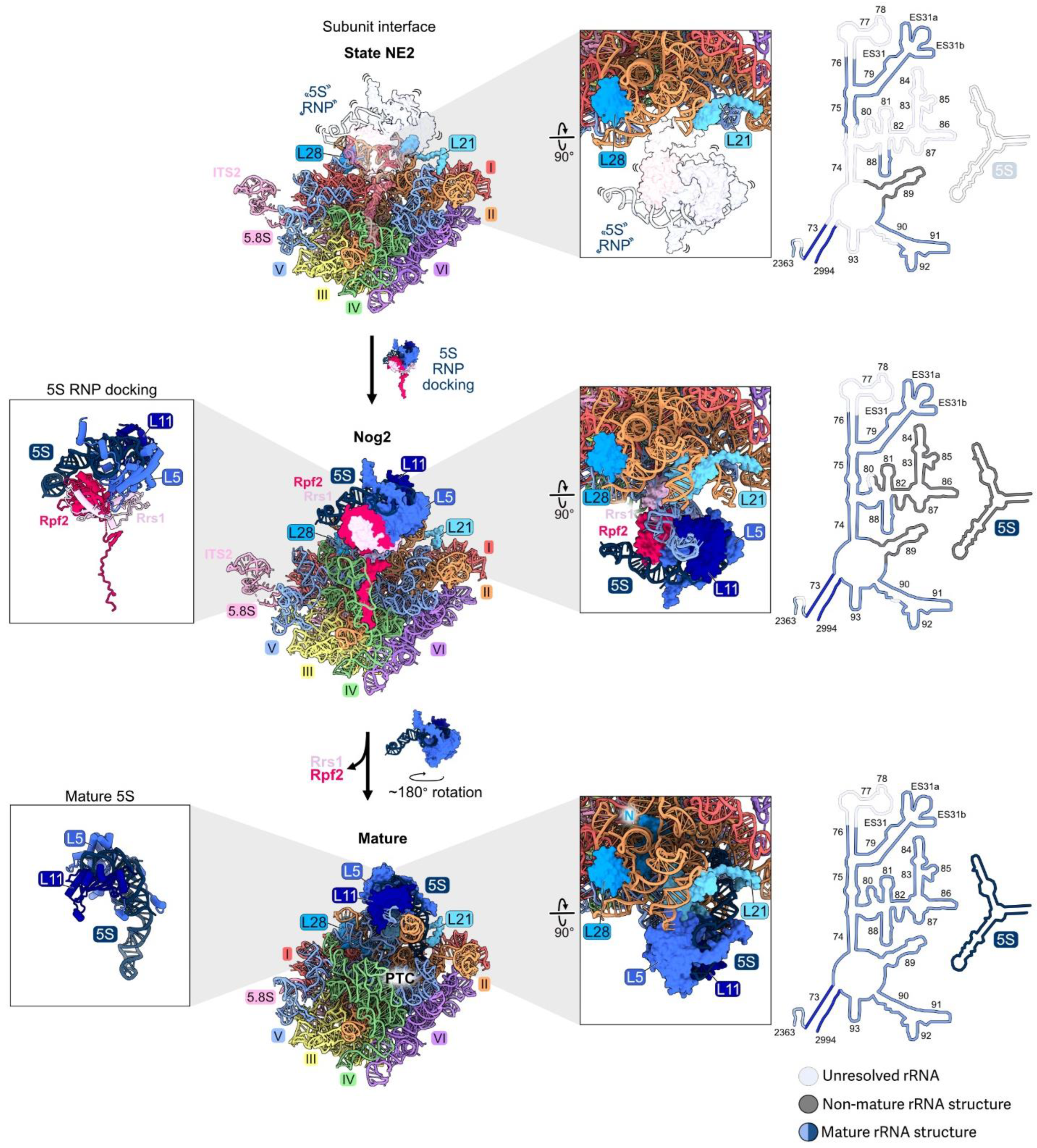 Biomolecules 14 00975 g010