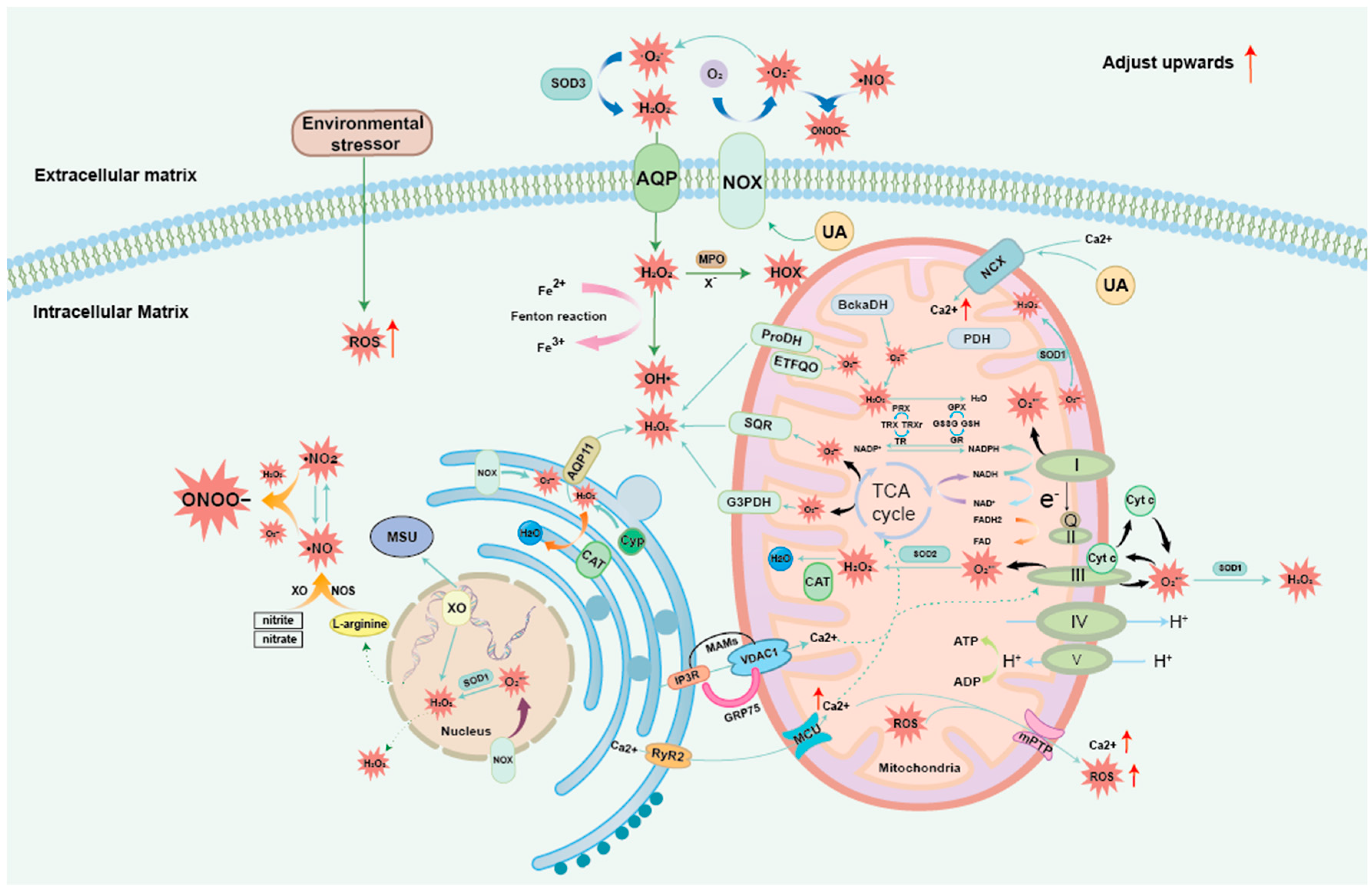Biomolecules 14 00978 g001 Biomolecules 14 00978 g001